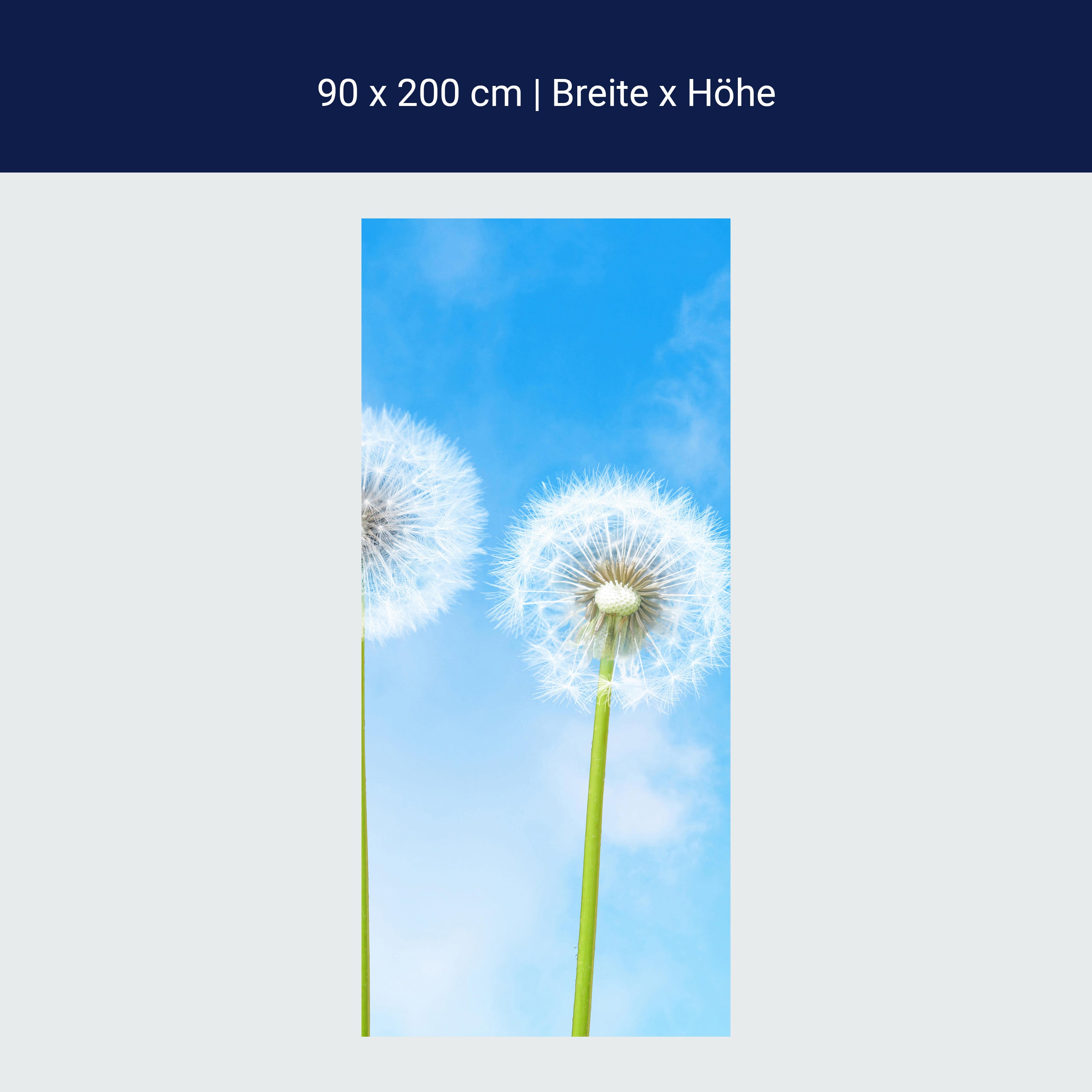 Türtapete Pusteblumen M0416 Türtapete Pusteblumen M0416