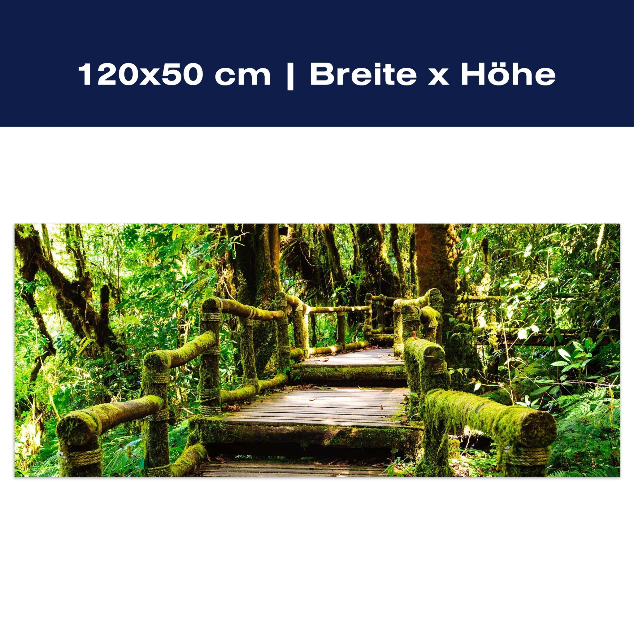 Leinwandbild Treppe im Urwald M0486 Leinwandbild Treppe im Urwald M0486