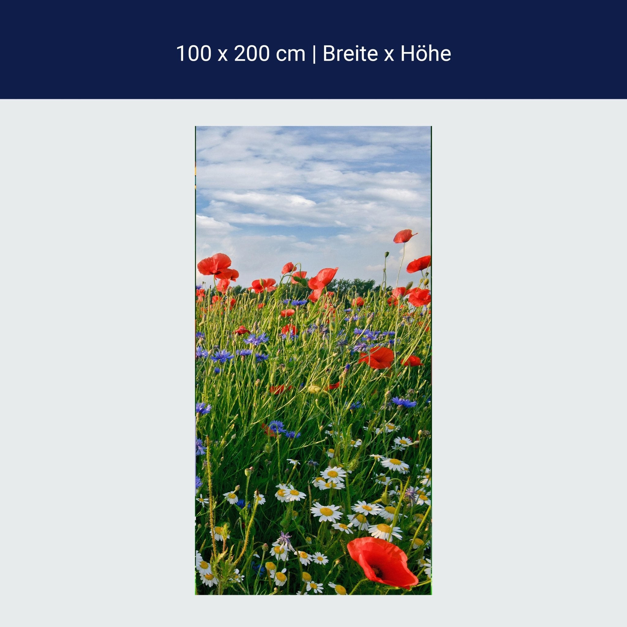 Türtapete Blumenwiese M0493 Türtapete Blumenwiese M0493