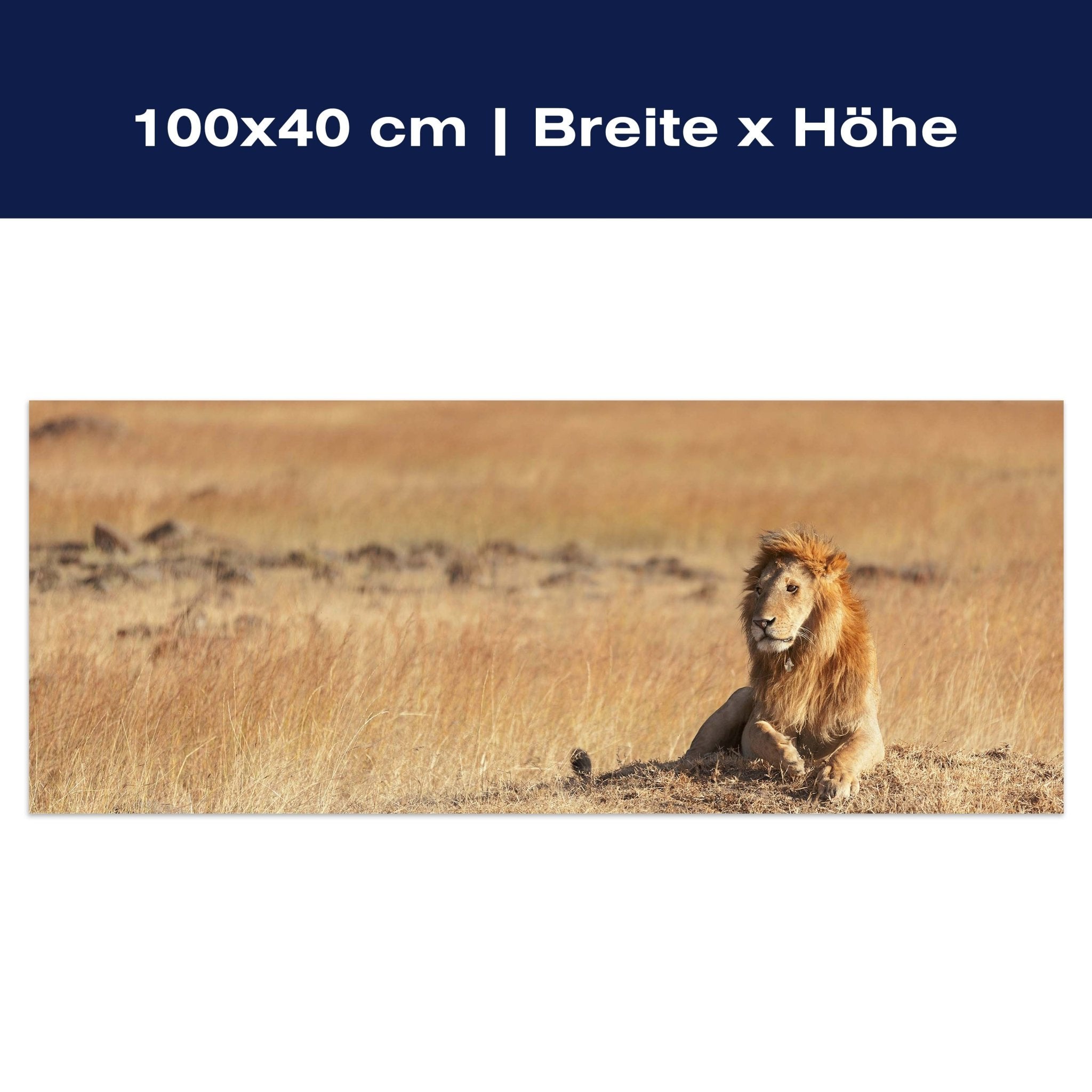 Leinwandbild König der Savanne M0515 Leinwandbild König der Savanne M0515