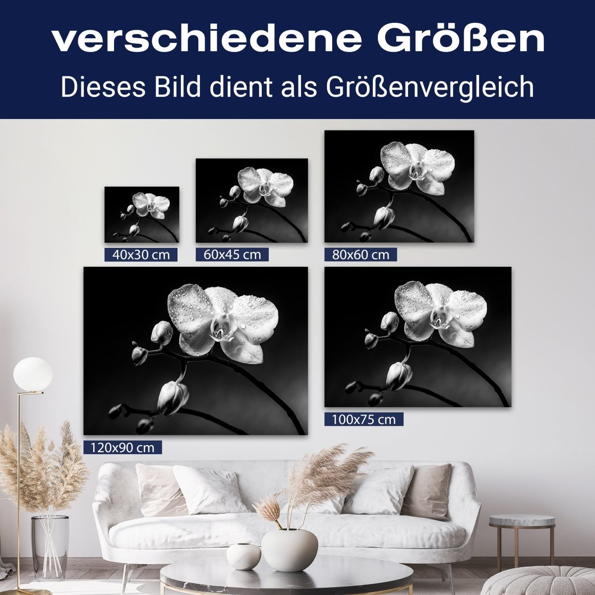 Leinwandbild Schwarz-Weiß, Blumen M0550 kaufen - Bild 8 Leinwandbild Schwarz-Weiß, Blumen M0550 kaufen - Bild 8