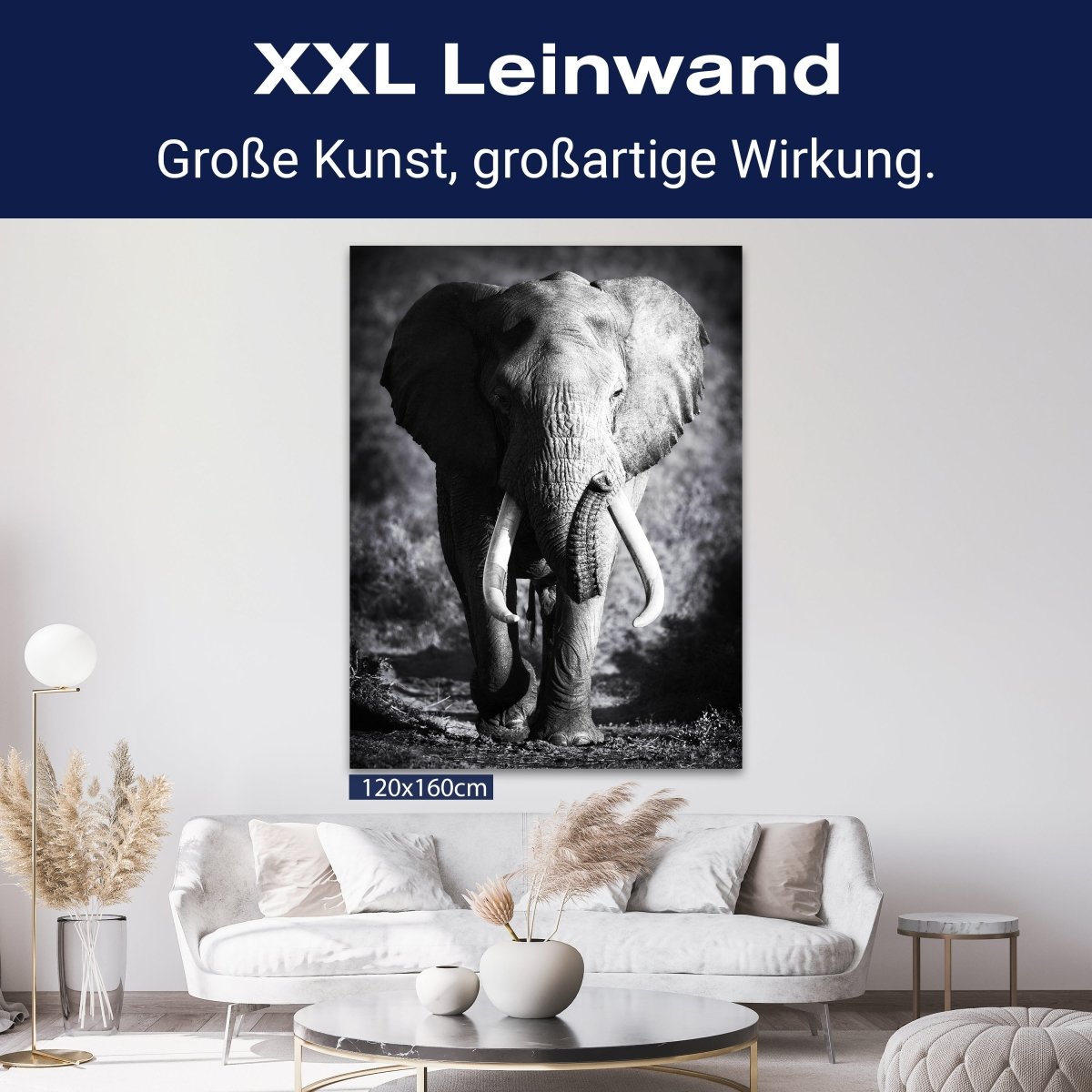 Leinwandbild Tiere, Elefant M0555 kaufen - Bild 9 Leinwandbild Tiere, Elefant M0555 kaufen - Bild 9