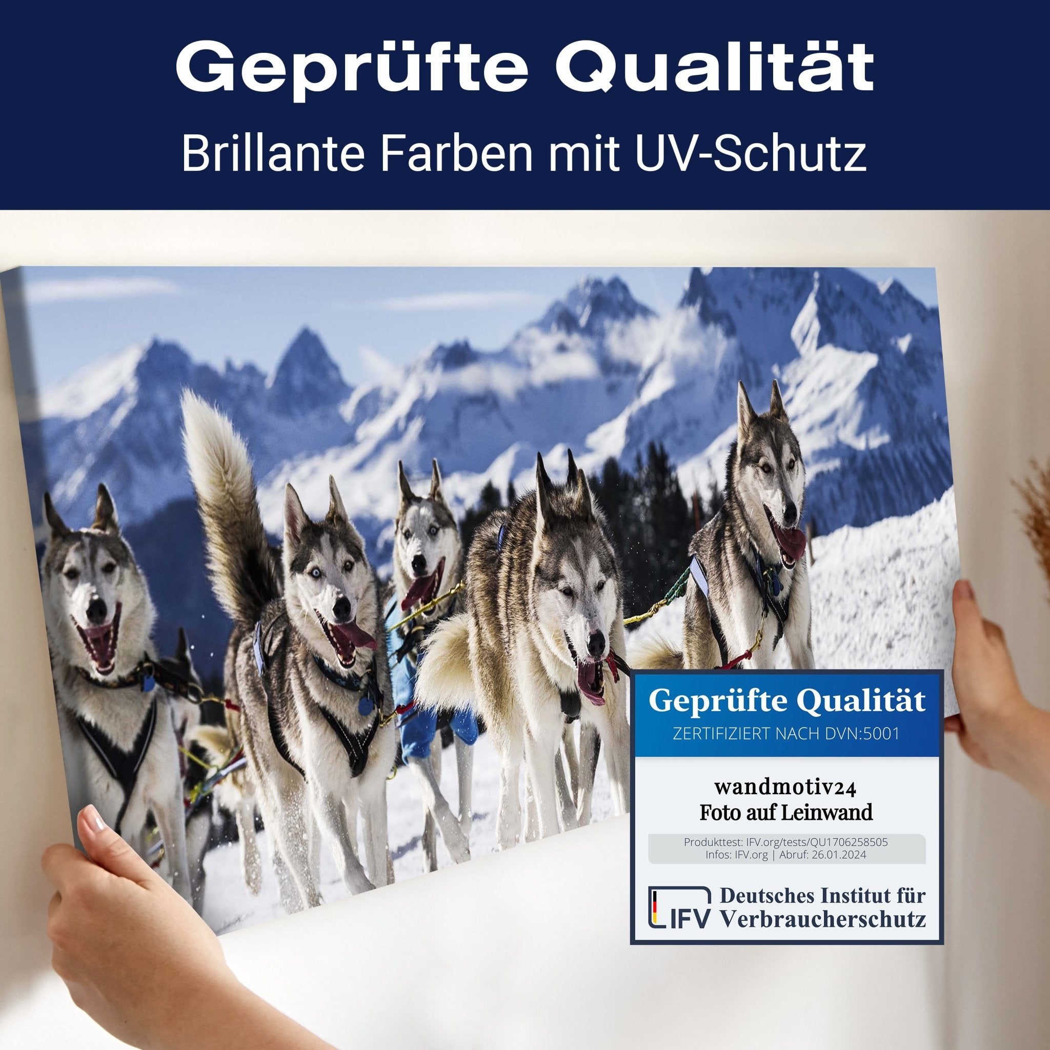 Leinwandbild Schlittenhunde in Speed Racing M0559 kaufen - Bild 4 Leinwandbild Schlittenhunde in Speed Racing M0559 kaufen - Bild 4