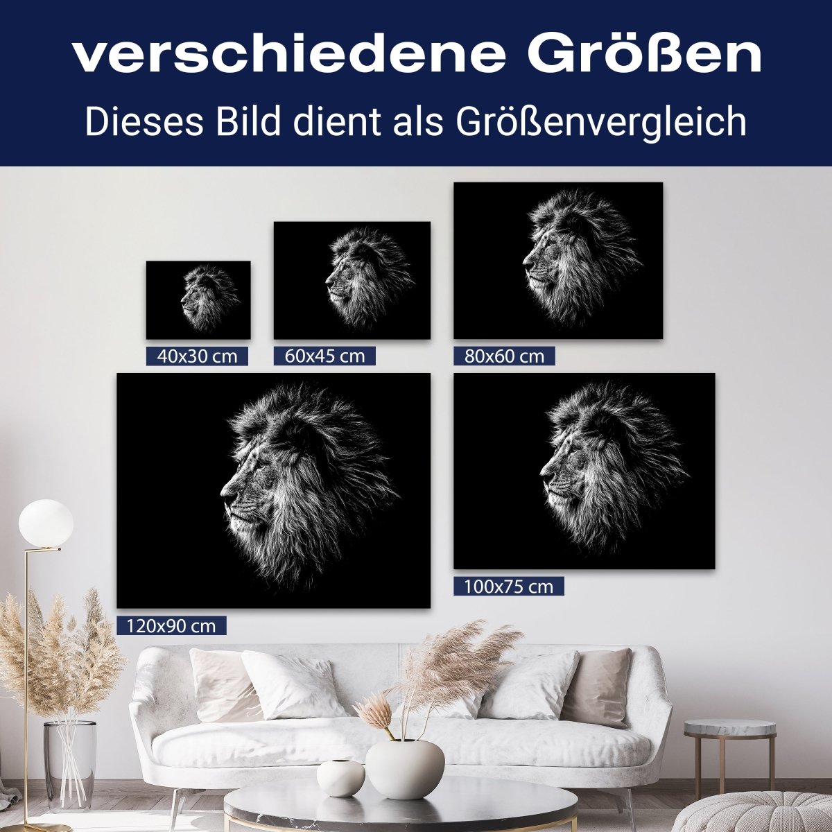 Leinwandbild Schwarz-Weiß, Löwe M0566 kaufen - Bild 8 Leinwandbild Schwarz-Weiß, Löwe M0566 kaufen - Bild 8