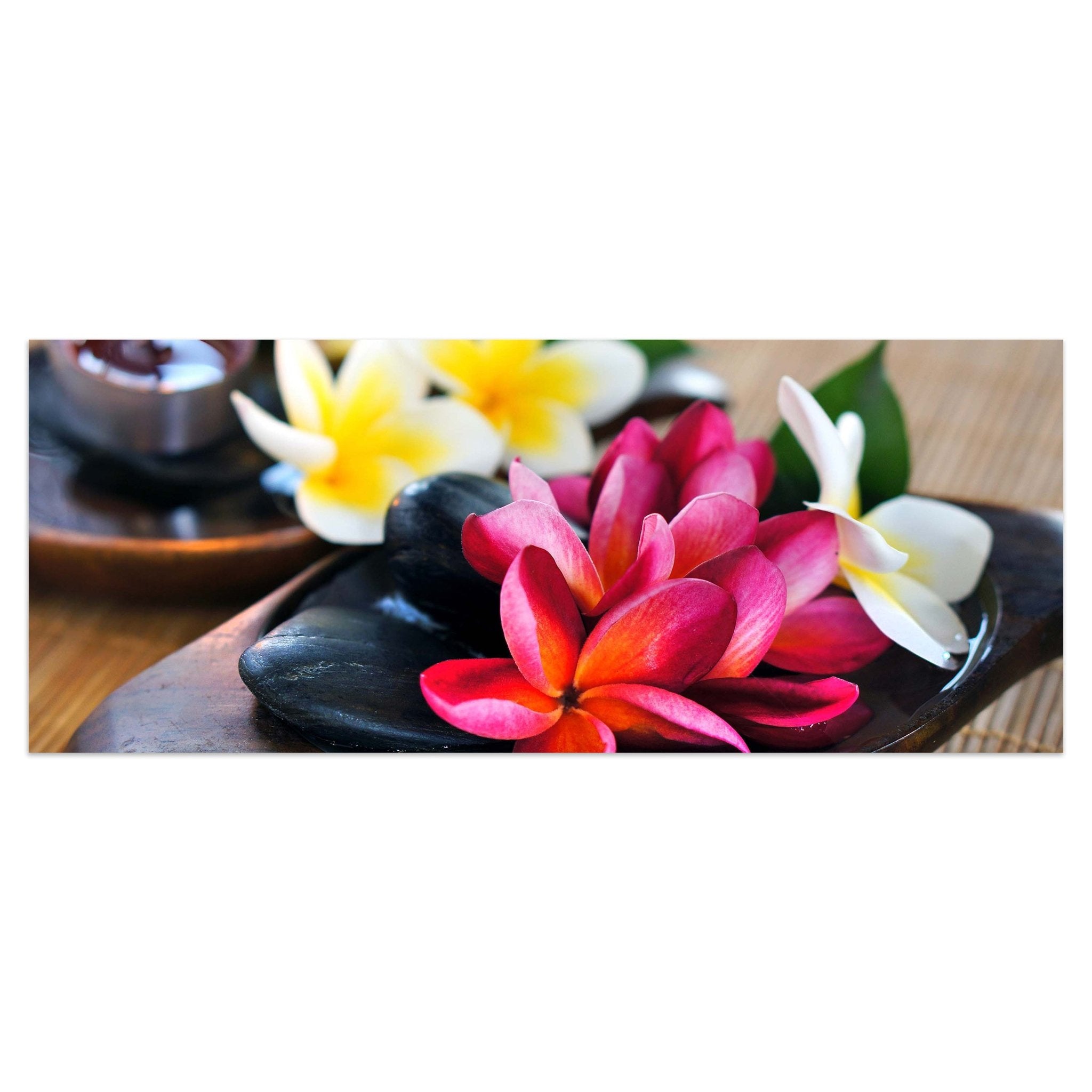 Leinwandbild Fangipani Blumen M0570 kaufen - Bild 1 Leinwandbild Fangipani Blumen M0570 kaufen - Bild 1