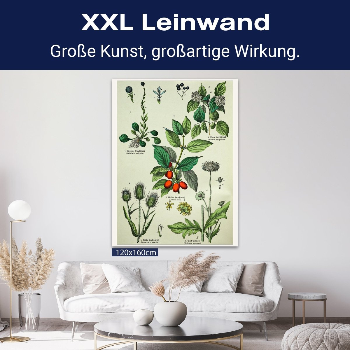 Leinwandbild Vintage, Pflanzen, Illustration, Hochformat M0681 kaufen - Bild 9 Leinwandbild Vintage, Pflanzen, Illustration, Hochformat M0681 kaufen - Bild 9
