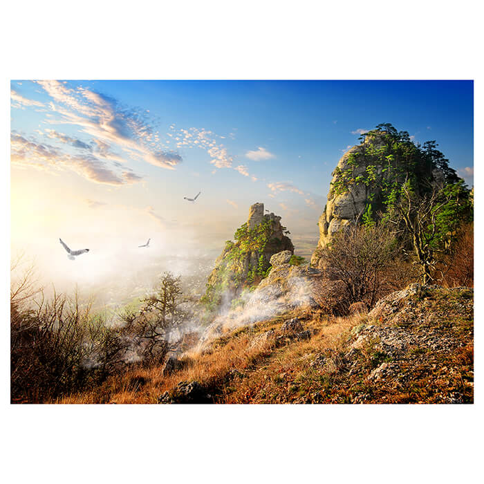 Fototapete Vögel über Klippen M0693 - Bild 2 Fototapete Vögel über Klippen M0693 - Bild 2