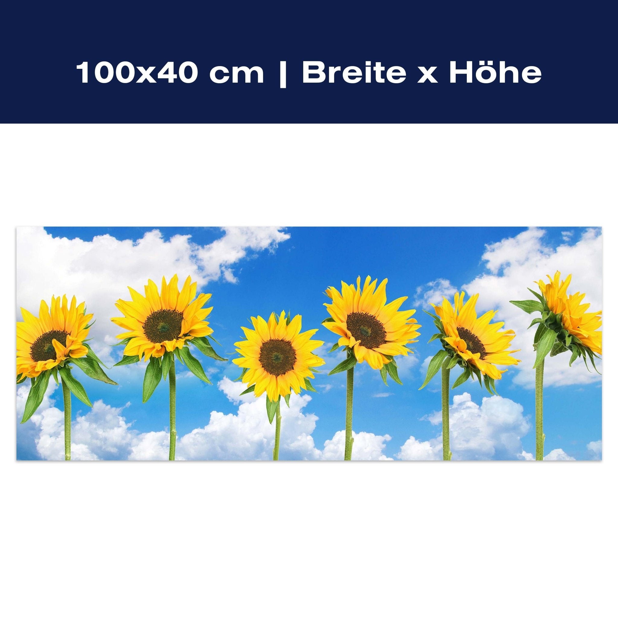 Leinwandbild Sonnenblumen M0705 Leinwandbild Sonnenblumen M0705