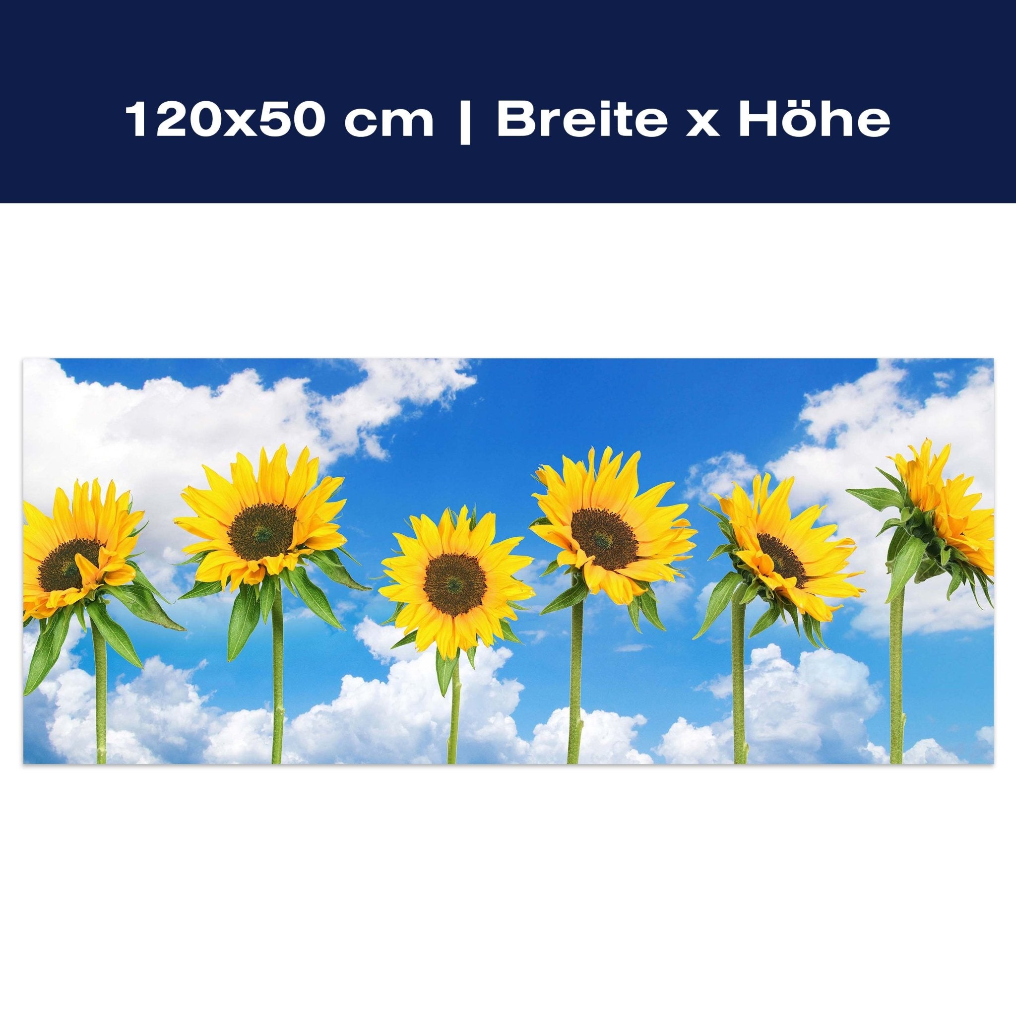Leinwandbild Sonnenblumen M0705 Leinwandbild Sonnenblumen M0705