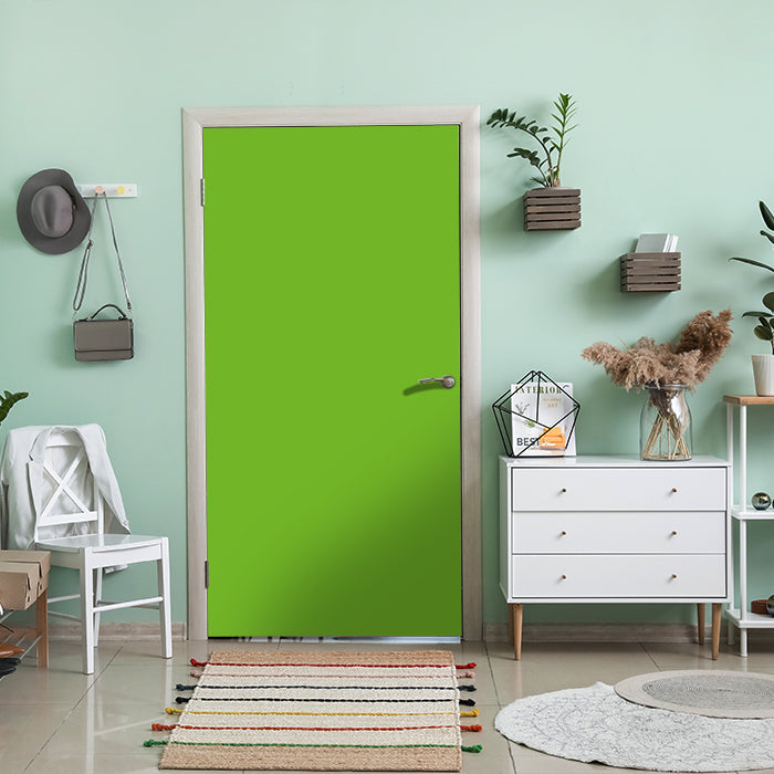 Türtapete einfarbig Lindgrün M0747 - Bild 1 Türtapete einfarbig Lindgrün M0747 - Bild 1