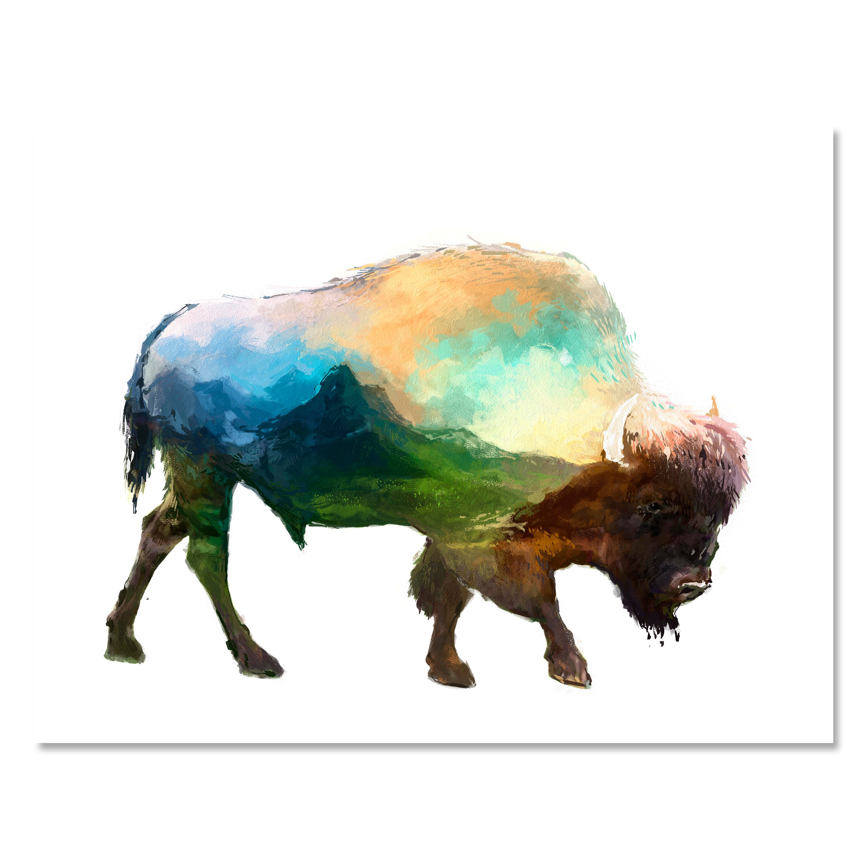 Leinwandbild Bison, Aquarell, Querformat M0780 kaufen - Bild 1 Leinwandbild Bison, Aquarell, Querformat M0780 kaufen - Bild 1