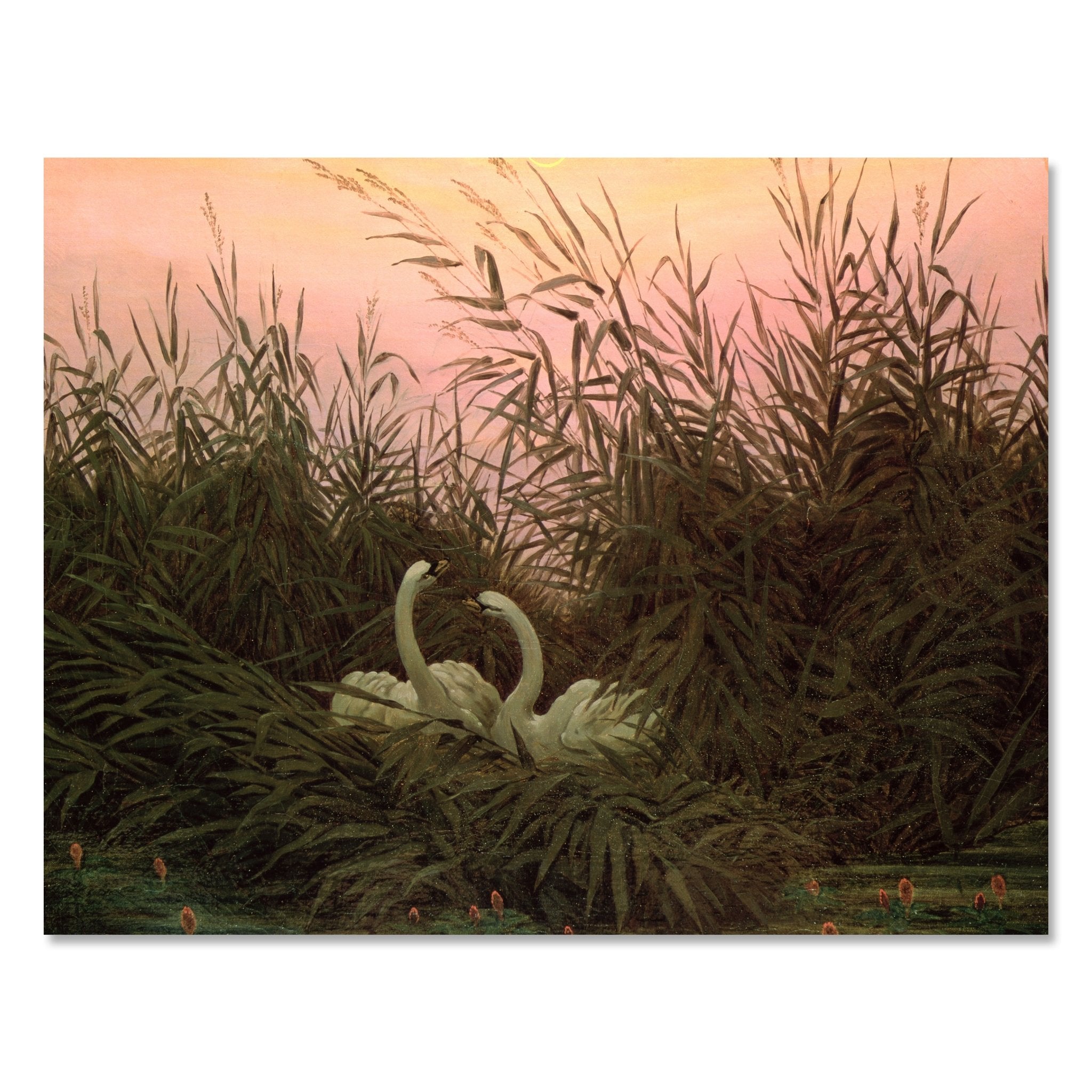 Leinwandbild Schwäne im Schilf Caspar David Friedrich M0856 kaufen - Bild 1 Leinwandbild Schwäne im Schilf Caspar David Friedrich M0856 kaufen - Bild 1