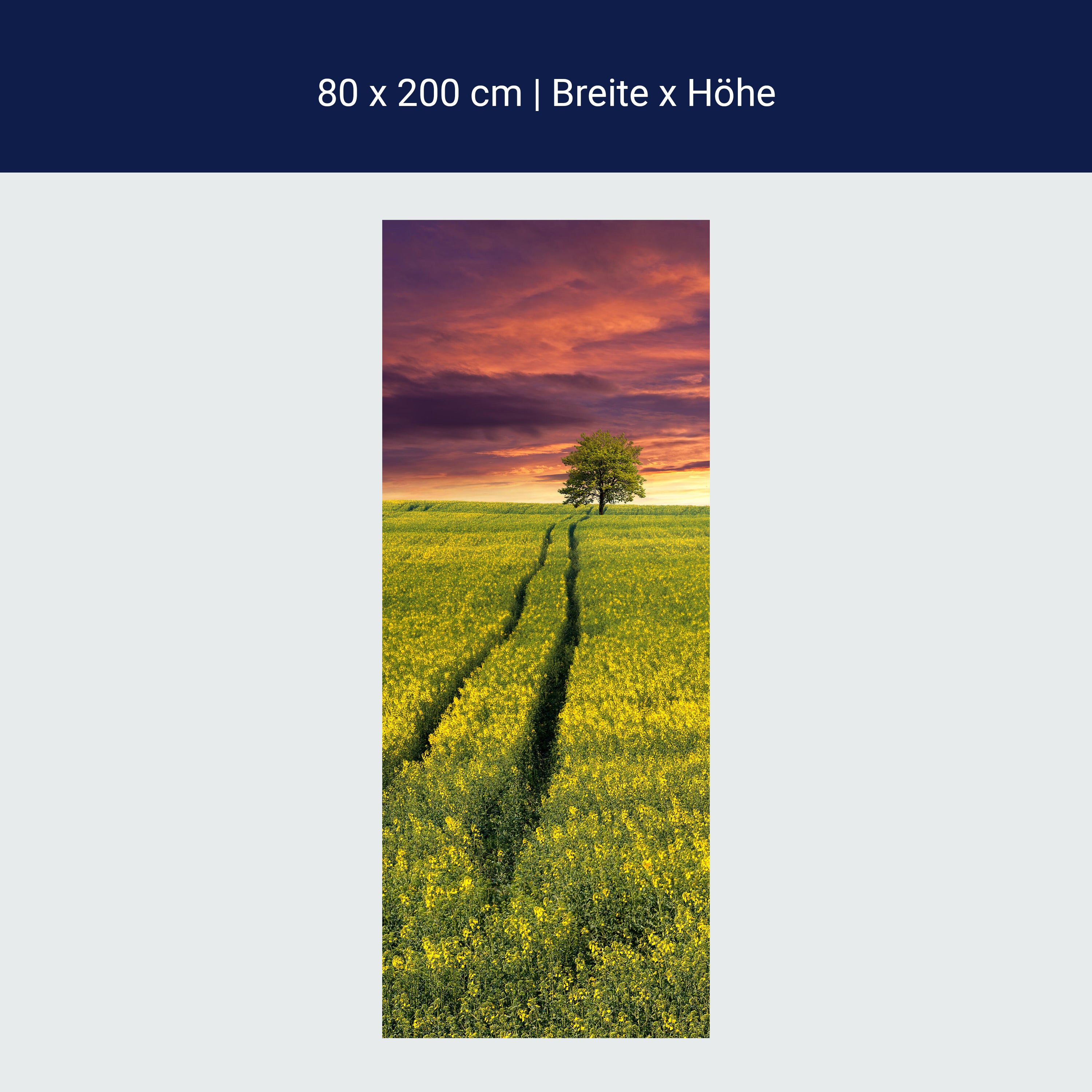 Türtapete Landschaft mit einem Feld von gelben Blumen M0874 Türtapete Landschaft mit einem Feld von gelben Blumen M0874