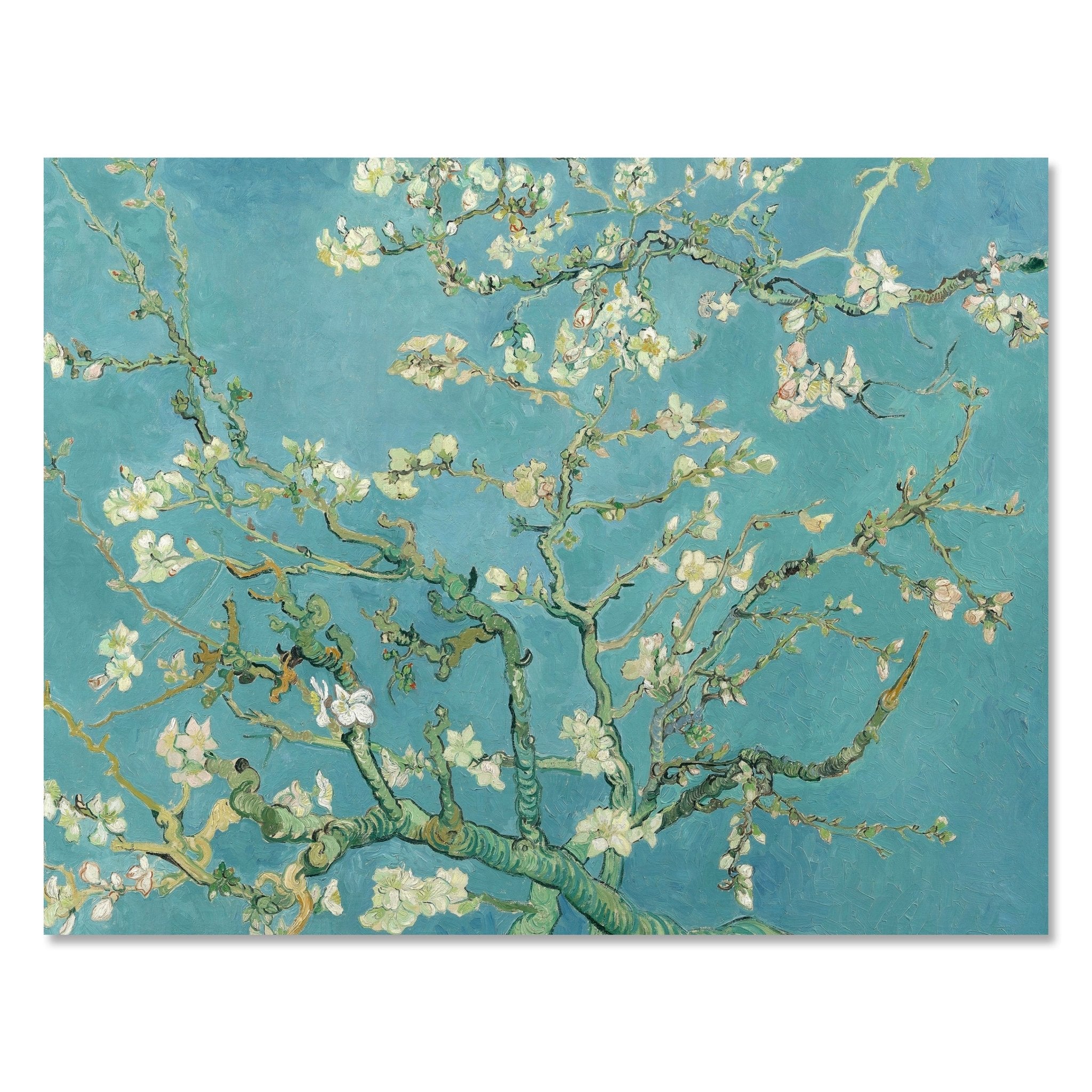 Leinwandbild Mandelblüte, Vincent van Gogh M0878 kaufen - Bild 1 Leinwandbild Mandelblüte, Vincent van Gogh M0878 kaufen - Bild 1
