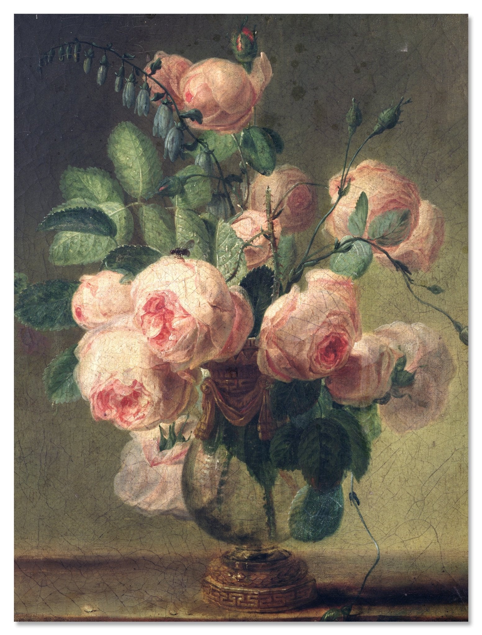 Leinwandbild Pfingstrosen - Pierre-Joseph Redouté M0886 Leinwandbild Pfingstrosen - Pierre-Joseph Redouté M0886