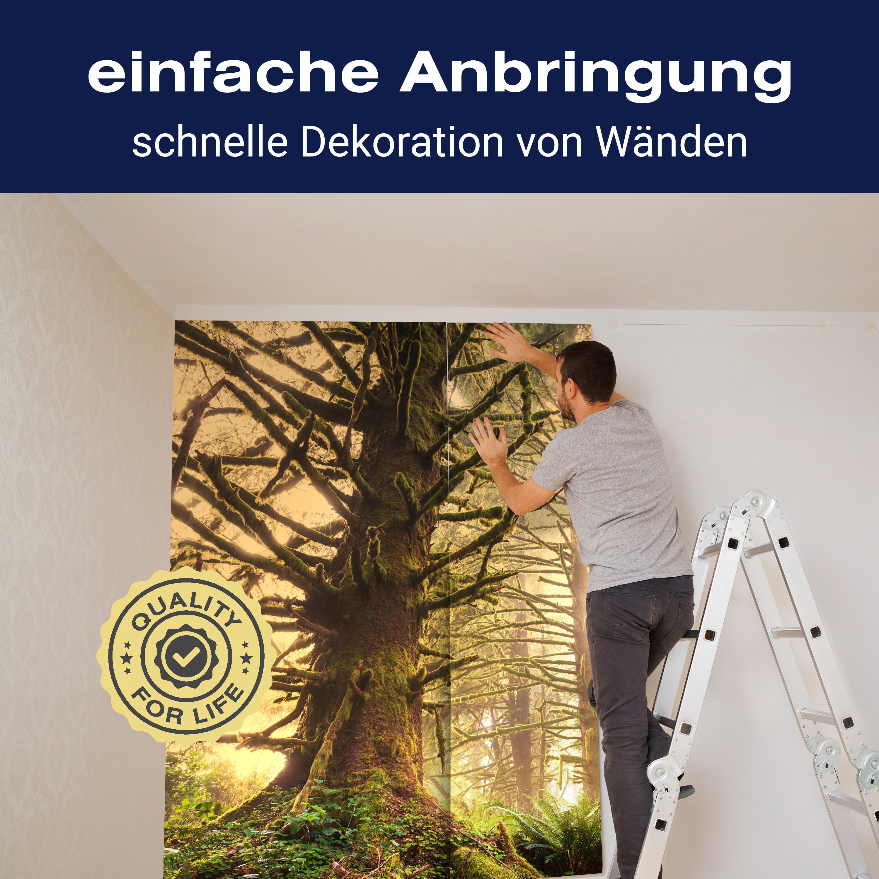 Fototapete Regenwald Nationalpark M0887 - Bild 3 Fototapete Regenwald Nationalpark M0887 - Bild 3