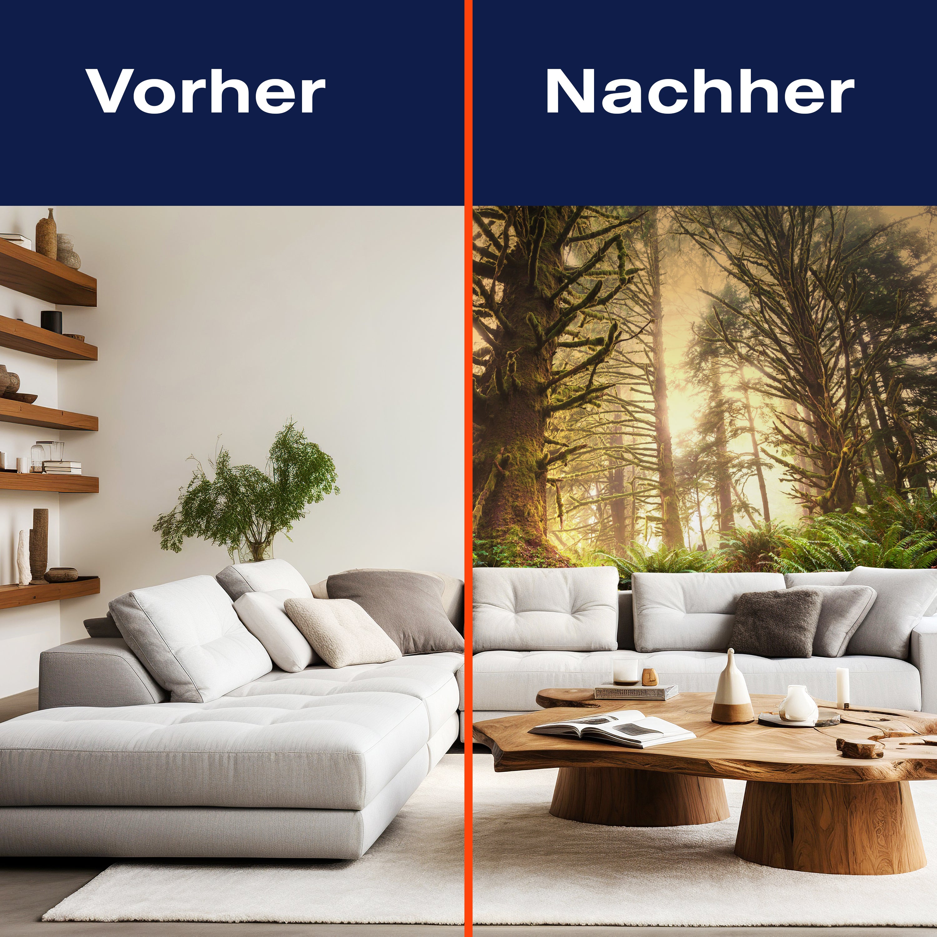 Fototapete Regenwald Nationalpark M0887 - Bild 9 Fototapete Regenwald Nationalpark M0887 - Bild 9