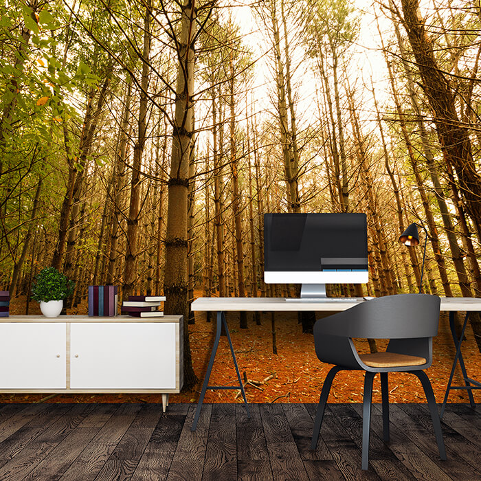 Fototapete Bunte Herbstlandschaft M0921 - Bild 1 Fototapete Bunte Herbstlandschaft M0921 - Bild 1