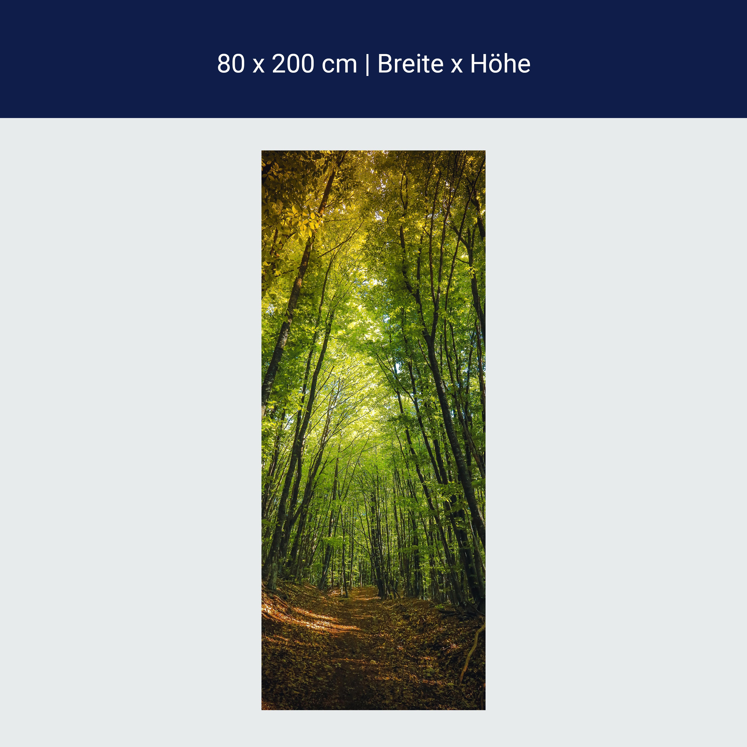 Türtapete Dunkler Weg im Wald M0923 Türtapete Dunkler Weg im Wald M0923