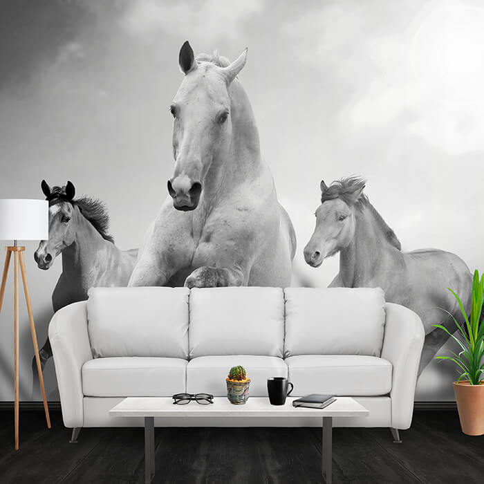 Fototapete Pferde laufen in Weiß und Schwarz M0945 - Bild 1 Fototapete Pferde laufen in Weiß und Schwarz M0945 - Bild 1