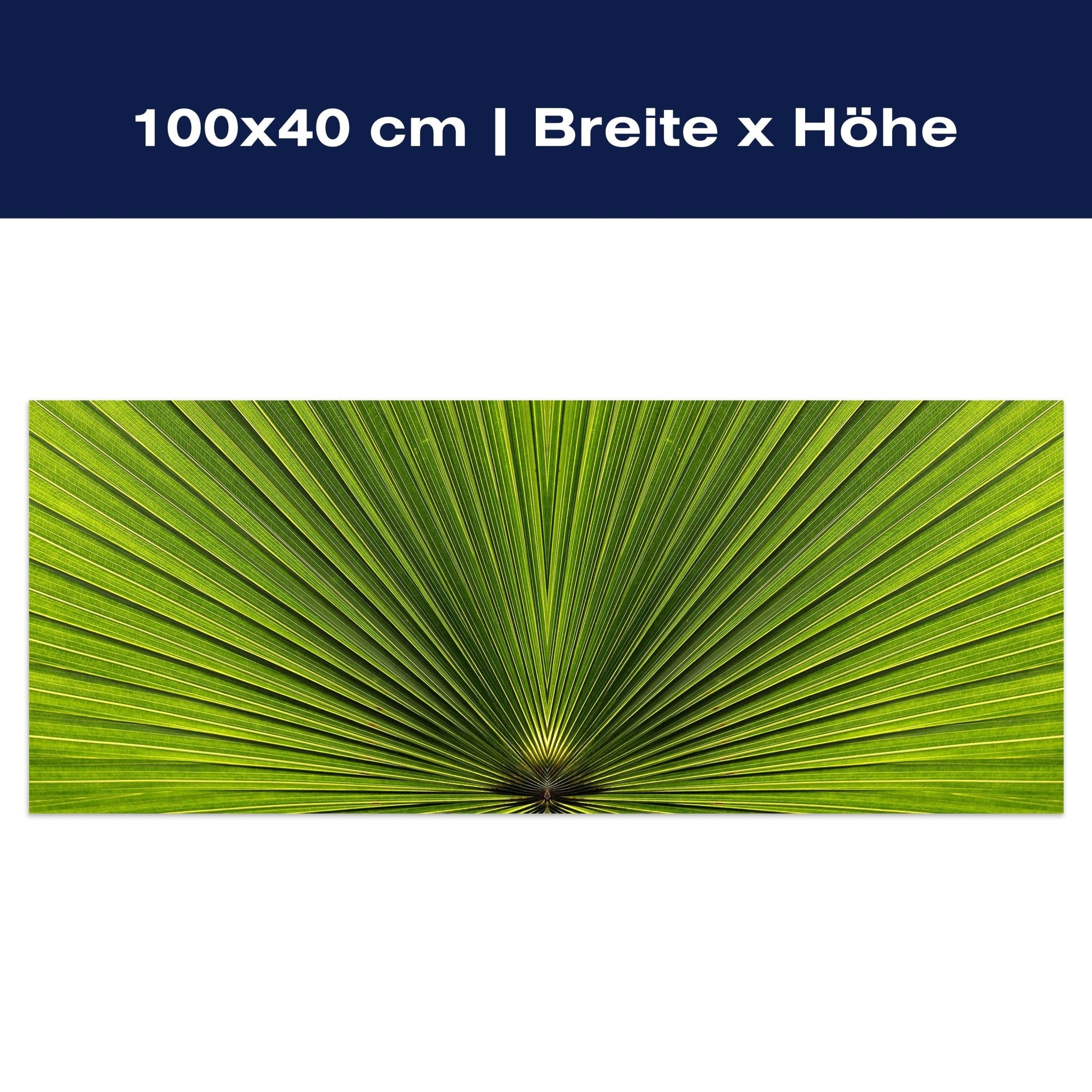 Leinwandbild Palmblatt Nahaufnahme M1003 Leinwandbild Palmblatt Nahaufnahme M1003