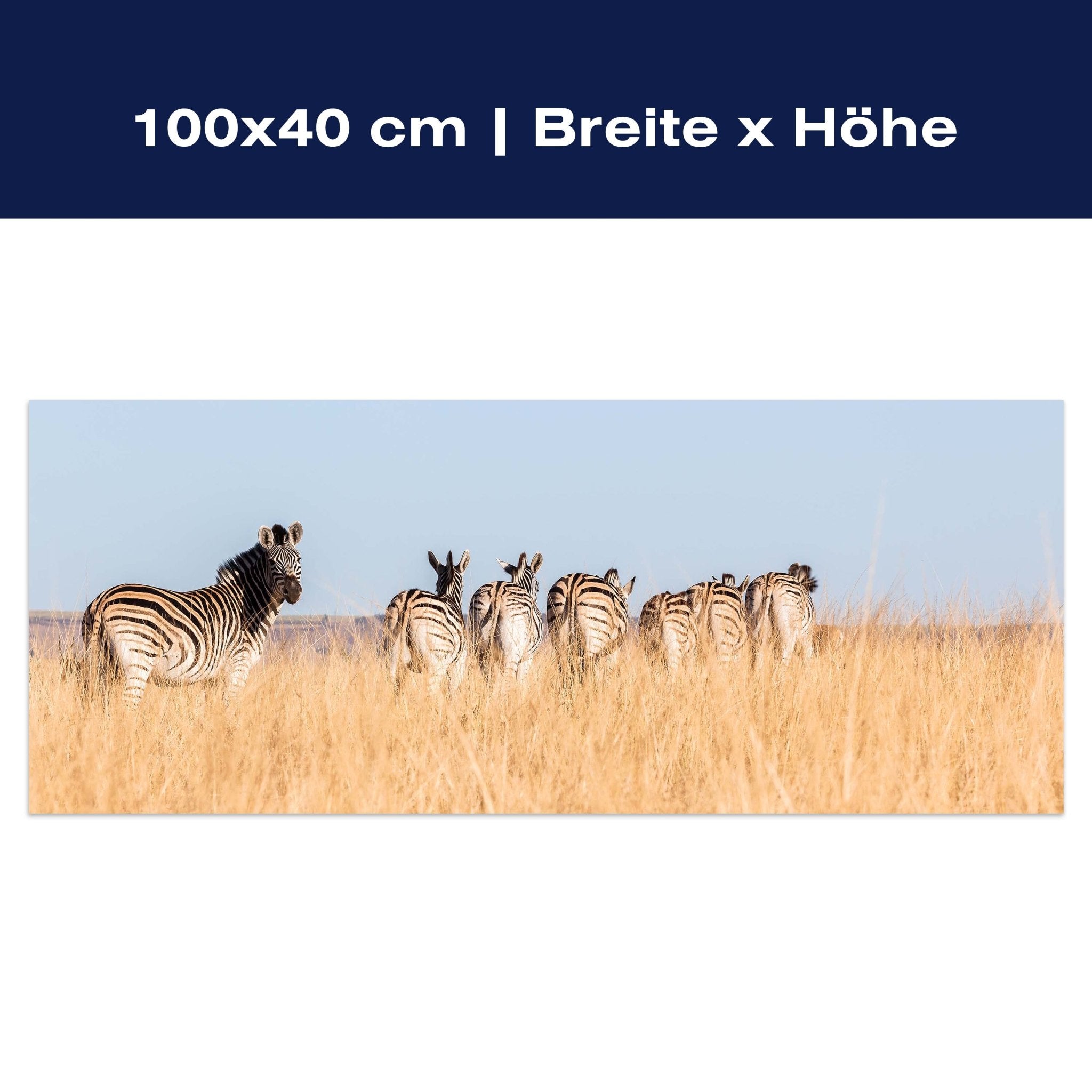 Leinwandbild Manada de cebras M1007 Leinwandbild Manada de cebras M1007