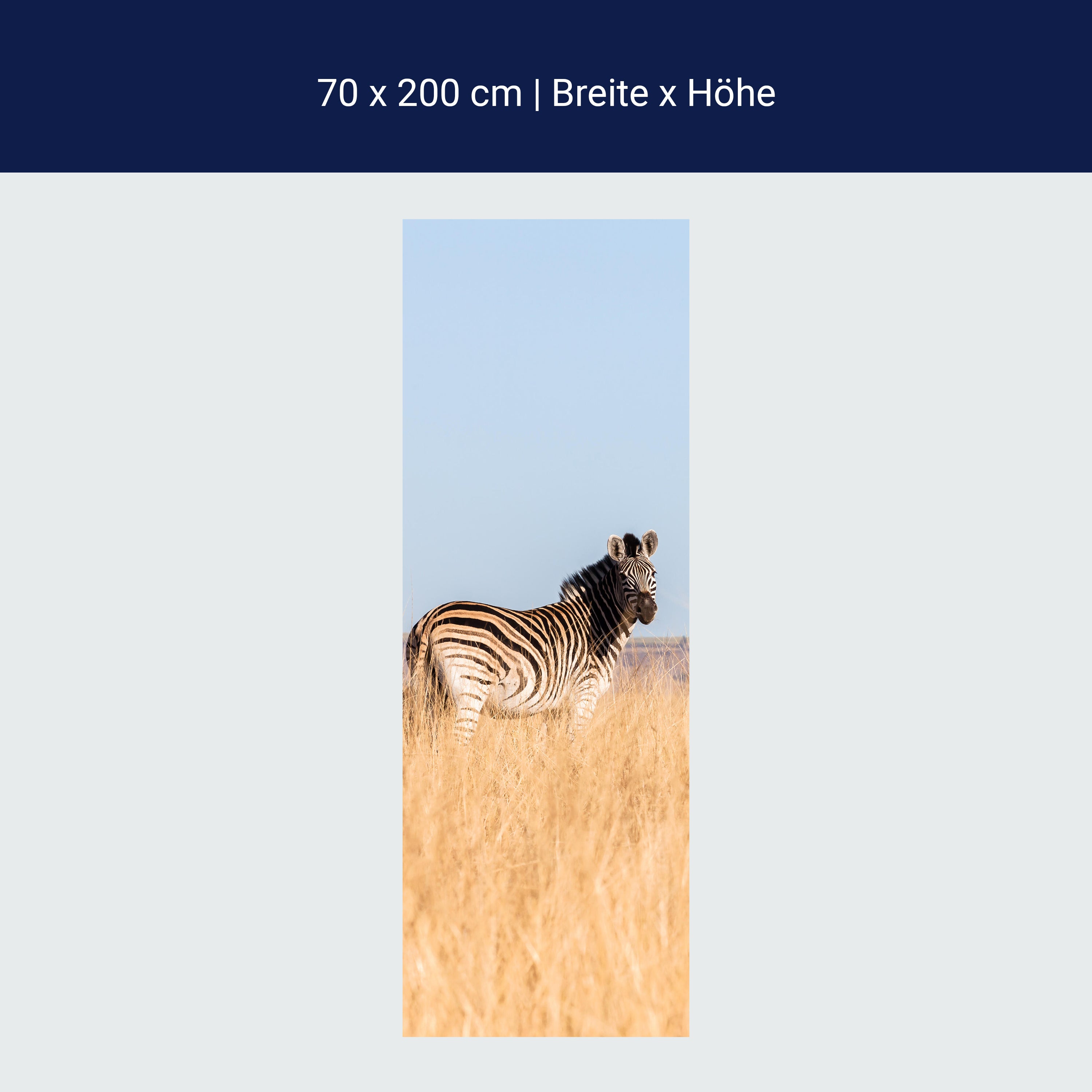 Türtapete Manada de cebras M1007 Türtapete Manada de cebras M1007