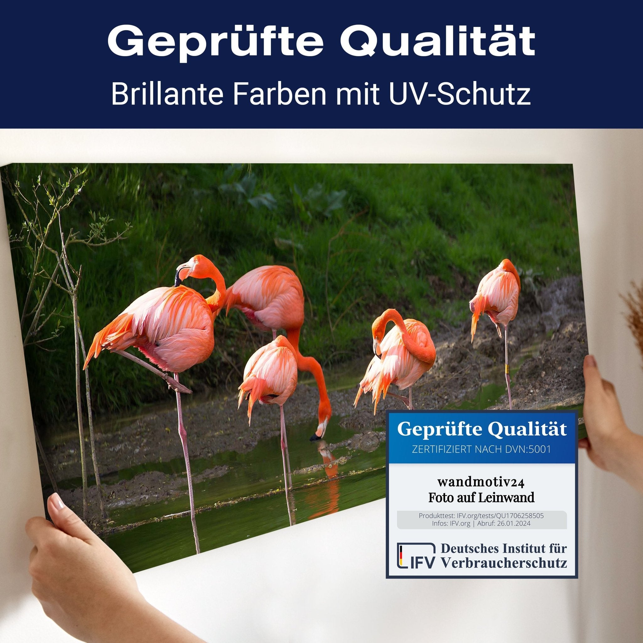 Leinwandbild Flamingos in einem Pool M1009 kaufen - Bild 4 Leinwandbild Flamingos in einem Pool M1009 kaufen - Bild 4