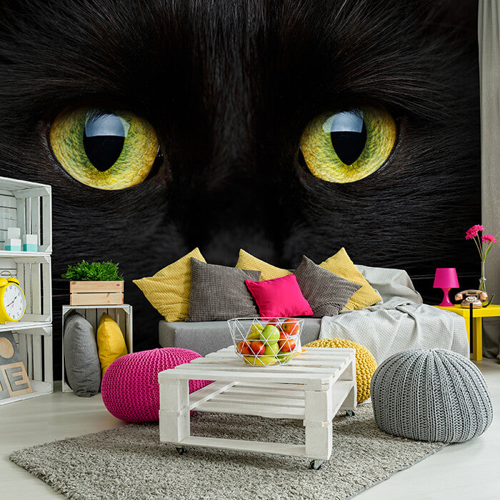 Fototapete Katze Tier Augen M1013 - Bild 1 Fototapete Katze Tier Augen M1013 - Bild 1