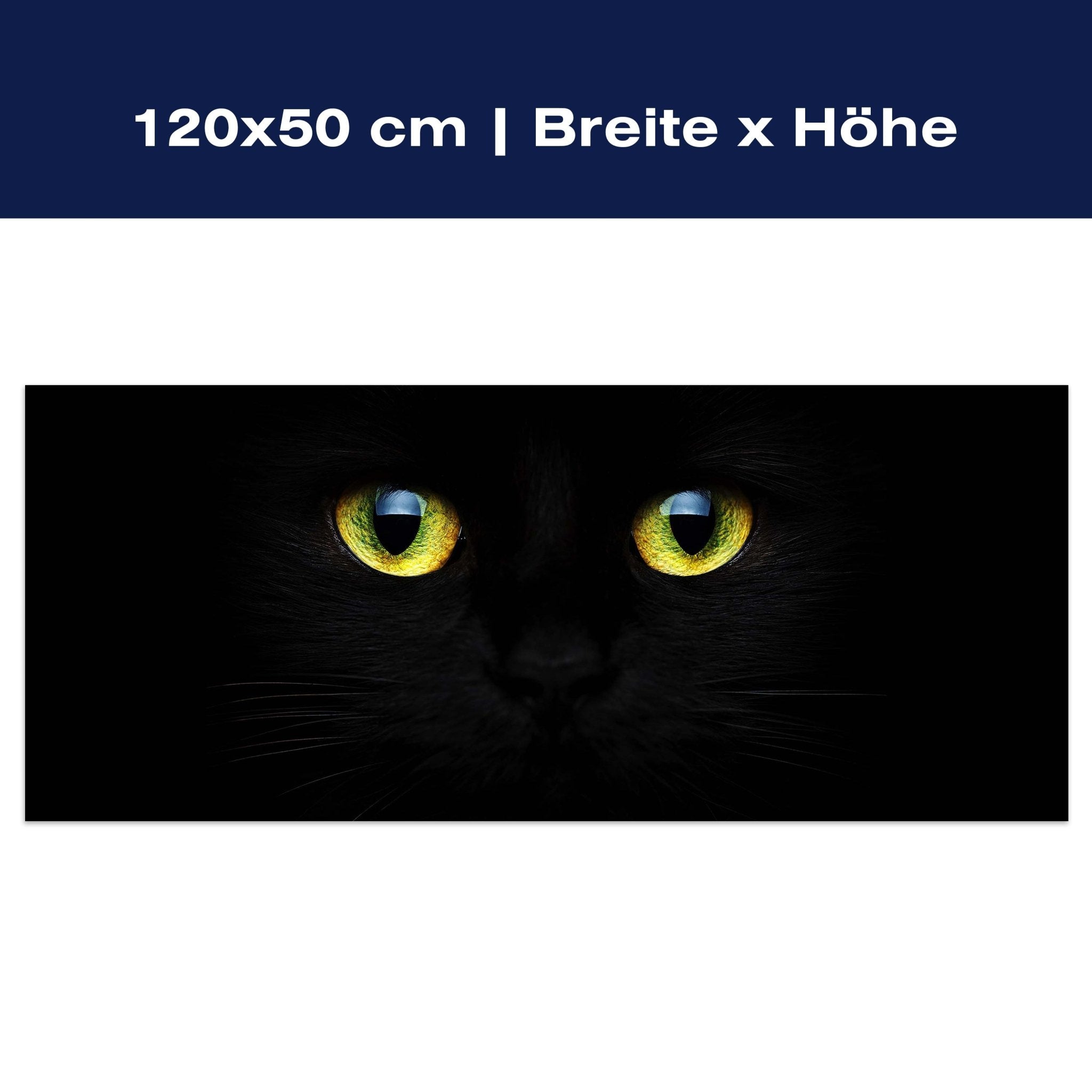 Leinwandbild Mysteriöse Katzenaugen M1015 Leinwandbild Mysteriöse Katzenaugen M1015