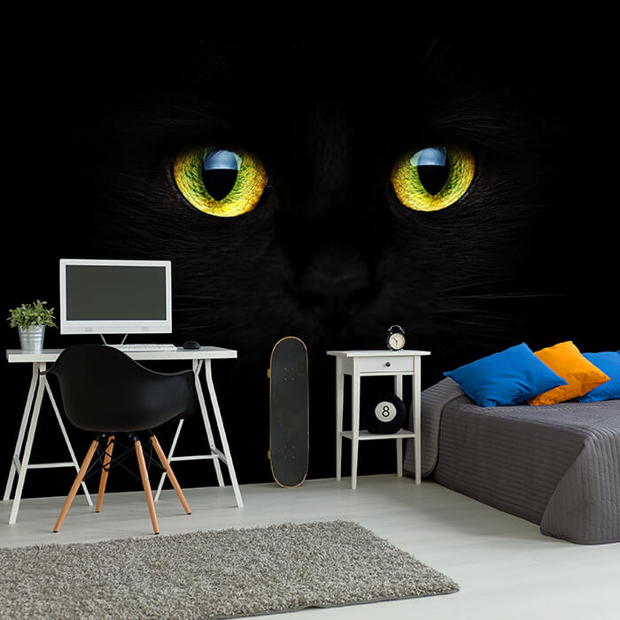 Fototapete Katzenaugen Tiere Natur M1015 - Bild 1 Fototapete Katzenaugen Tiere Natur M1015 - Bild 1