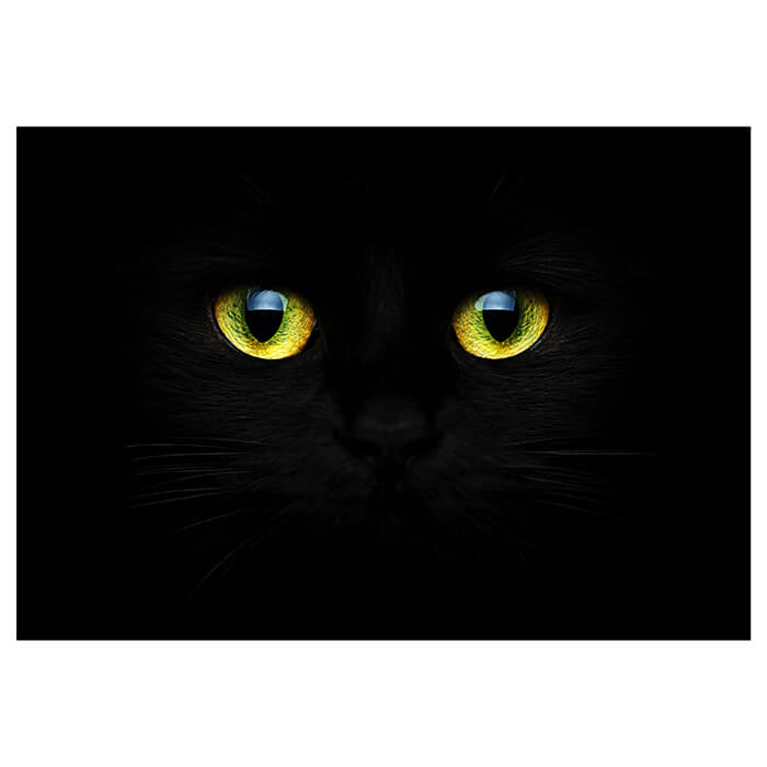 Fototapete Katzenaugen Tiere Natur M1015 - Bild 2 Fototapete Katzenaugen Tiere Natur M1015 - Bild 2