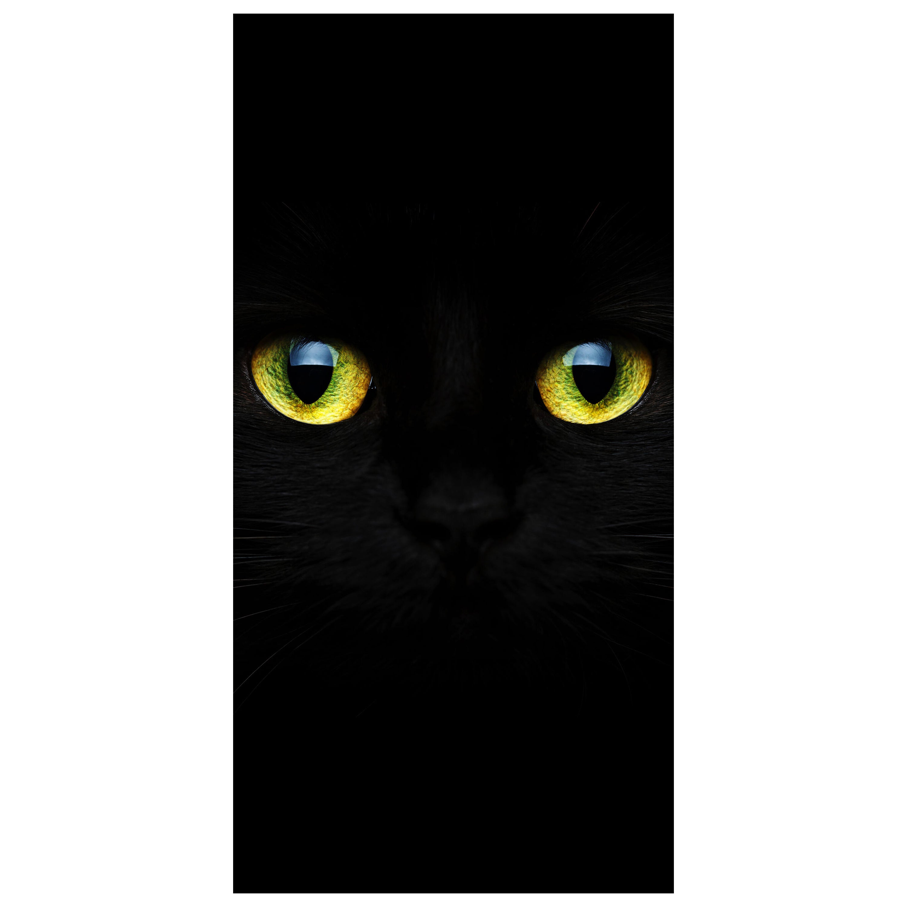 Türtapete Mysteriöse Katzenaugen M1015 - Bild 2 Türtapete Mysteriöse Katzenaugen M1015 - Bild 2