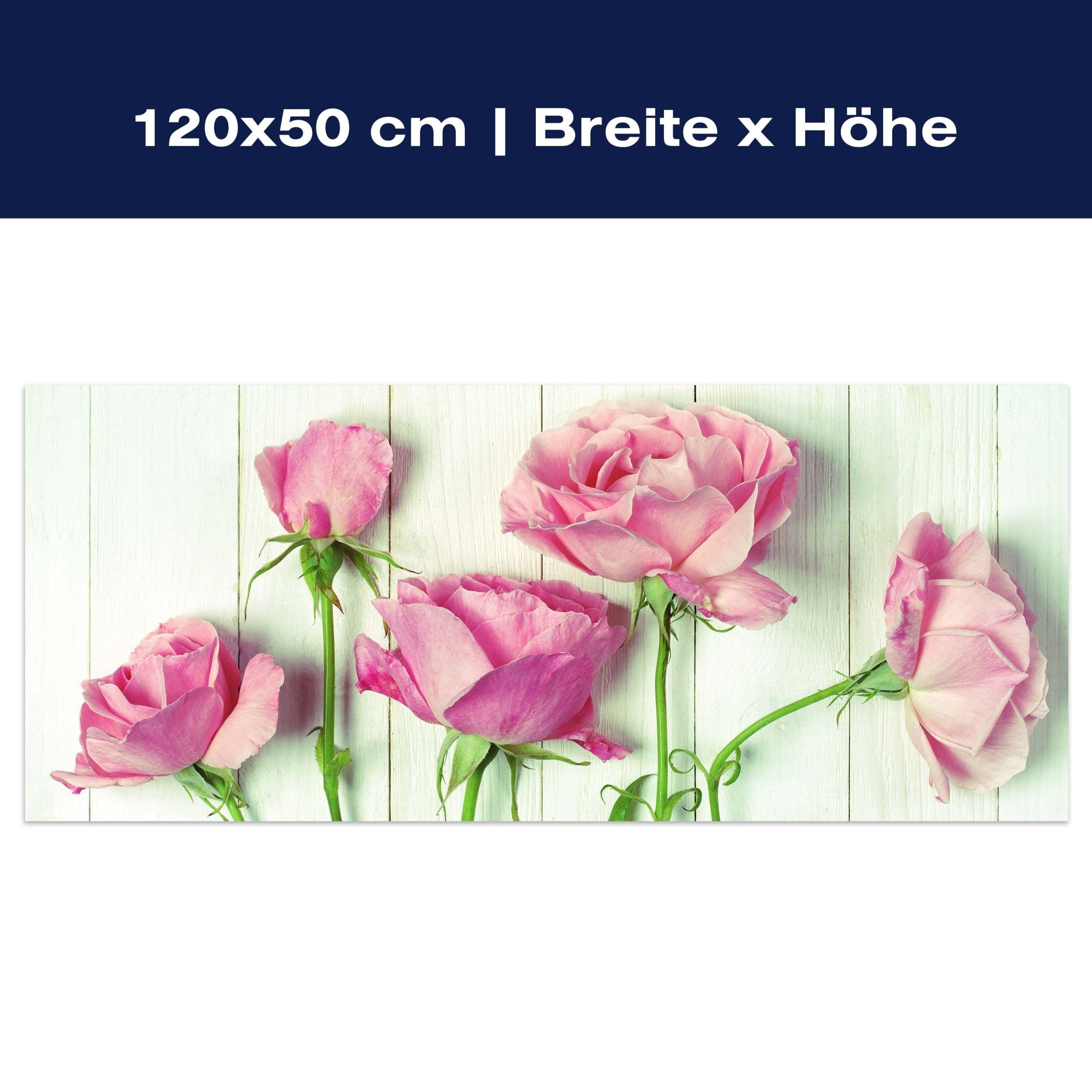 Leinwandbild Frische Gartenrosen M1021 Leinwandbild Frische Gartenrosen M1021