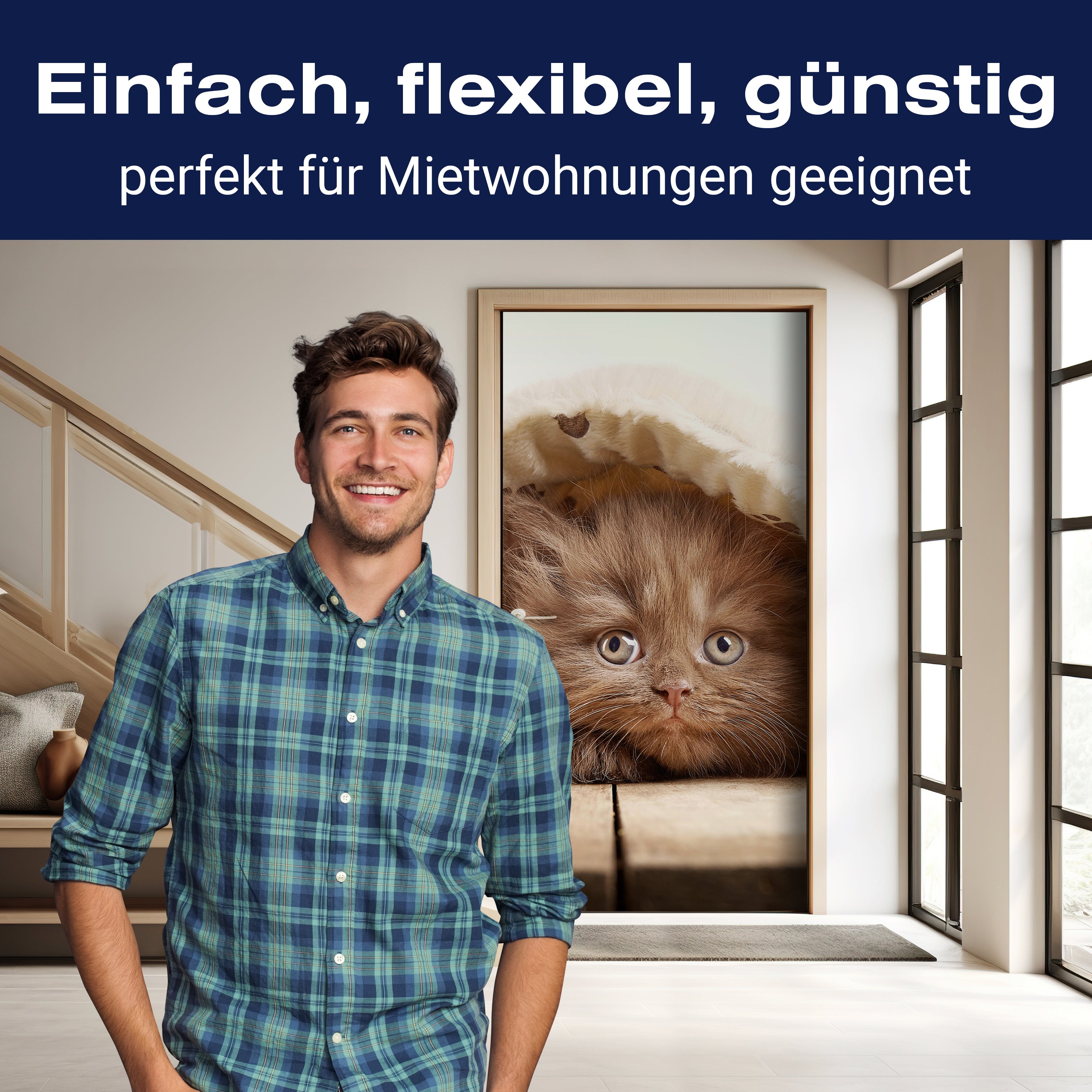 Türtapete Braunes britisches langhaariges Kätzchen M1023 - Bild 3 Türtapete Braunes britisches langhaariges Kätzchen M1023 - Bild 3