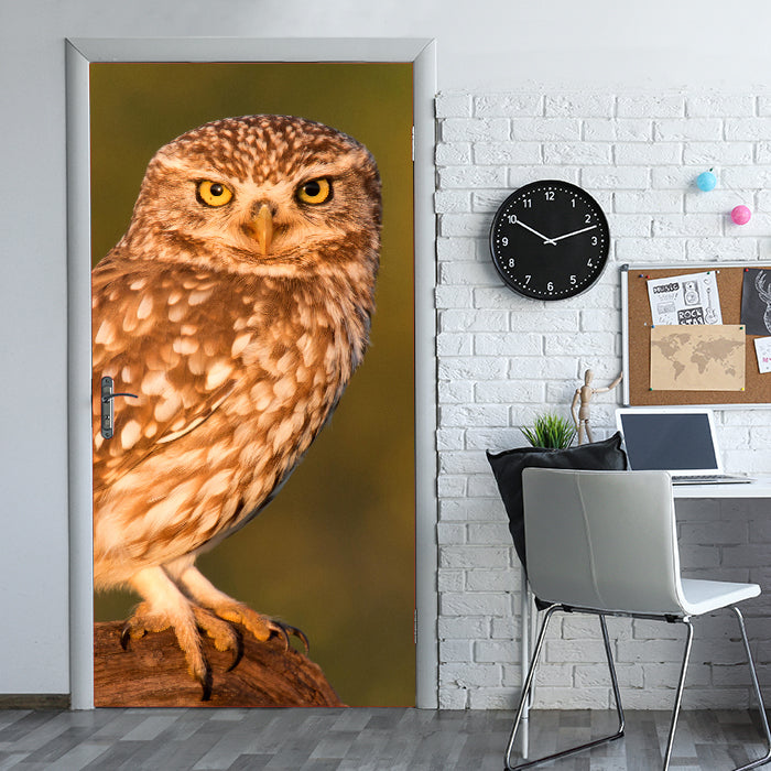 Türtapete Kleine Eule auf einem Baumstamm M1026 - Bild 1 Türtapete Kleine Eule auf einem Baumstamm M1026 - Bild 1