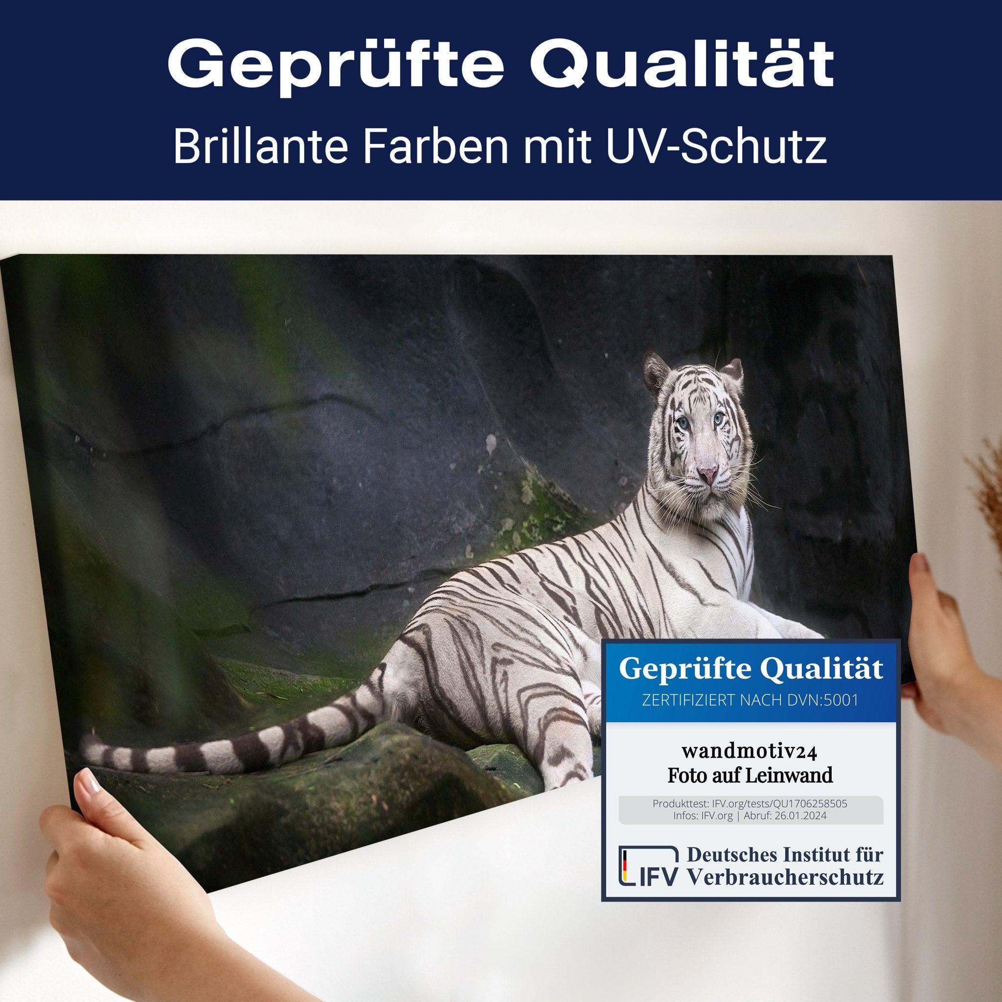 Leinwandbild Weißer Tiger sitzt in der Höhle M1027 kaufen - Bild 4 Leinwandbild Weißer Tiger sitzt in der Höhle M1027 kaufen - Bild 4