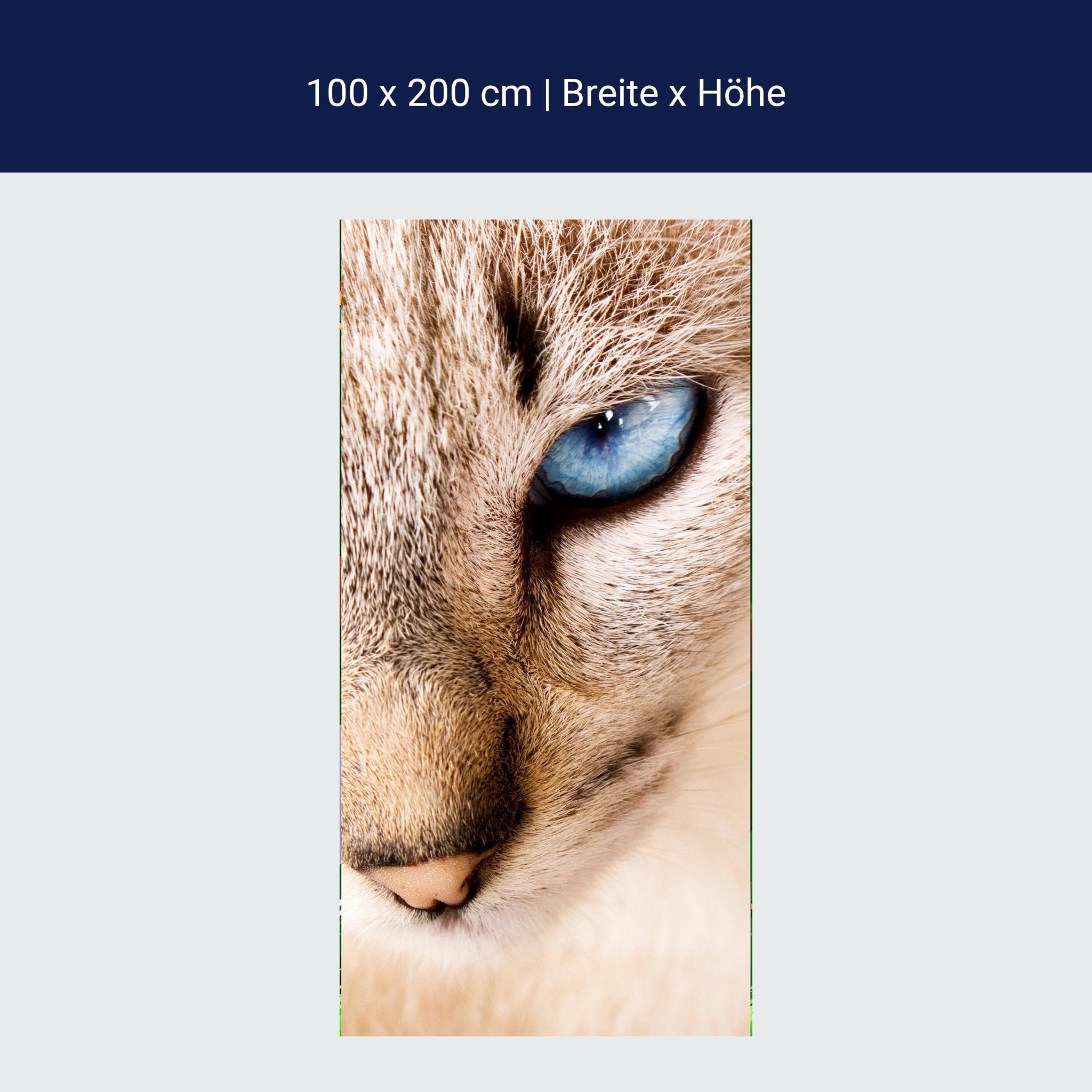 Türtapete Nettes weißes Katzenporträt M1028 Türtapete Nettes weißes Katzenporträt M1028