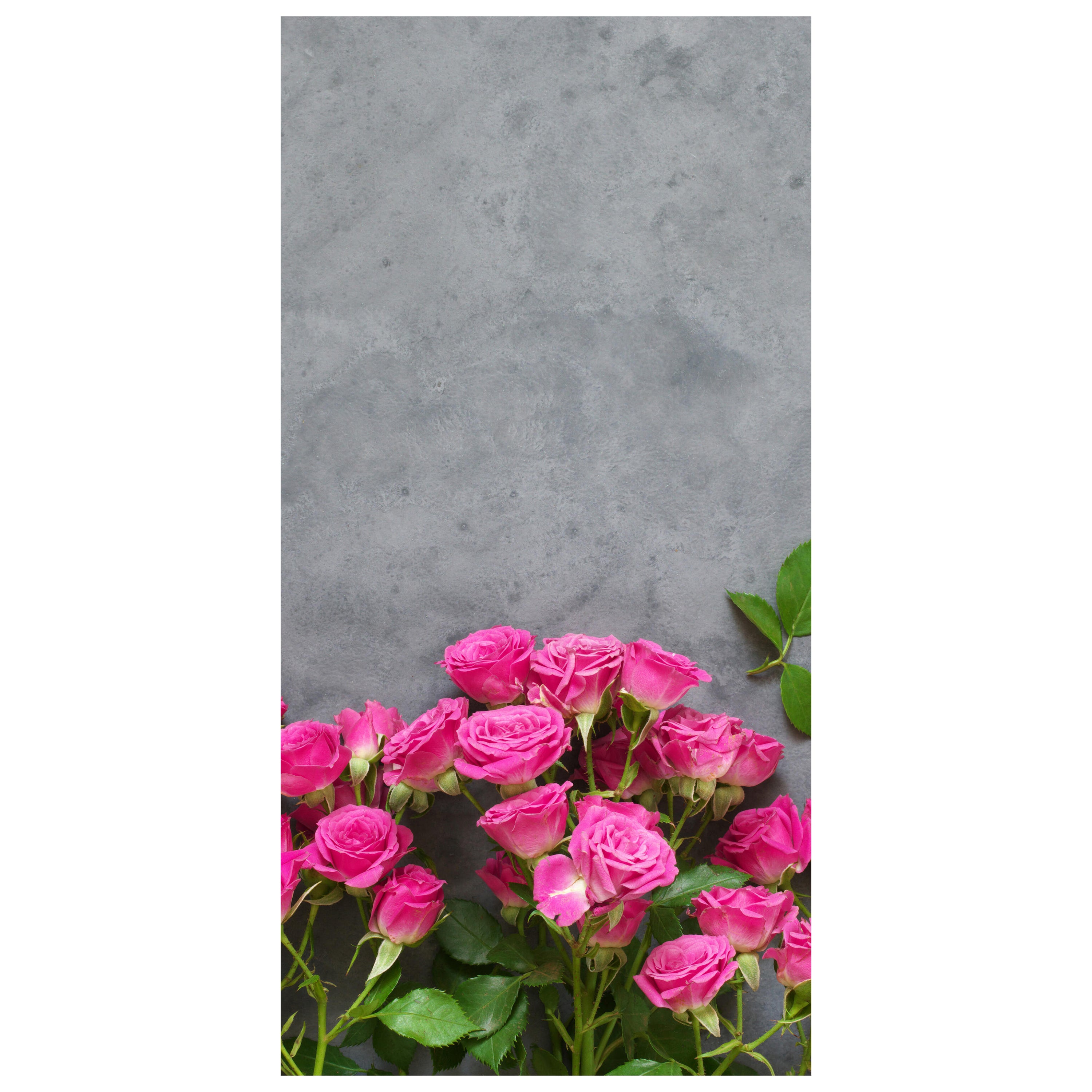 Türtapete Rosa Rosen auf dunkelgrauem Hintergrund M1033 - Bild 2 Türtapete Rosa Rosen auf dunkelgrauem Hintergrund M1033 - Bild 2