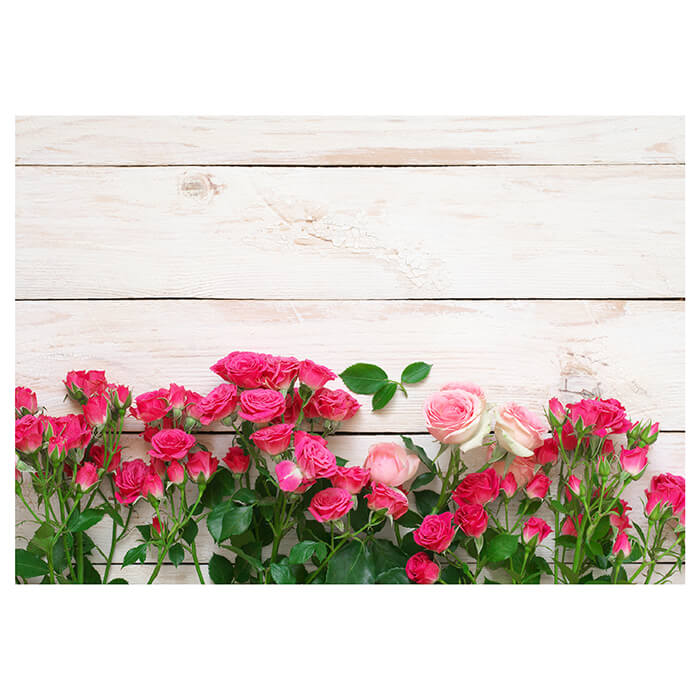 Fototapete Rosa und karminrote Rosen M1034 - Bild 2 Fototapete Rosa und karminrote Rosen M1034 - Bild 2
