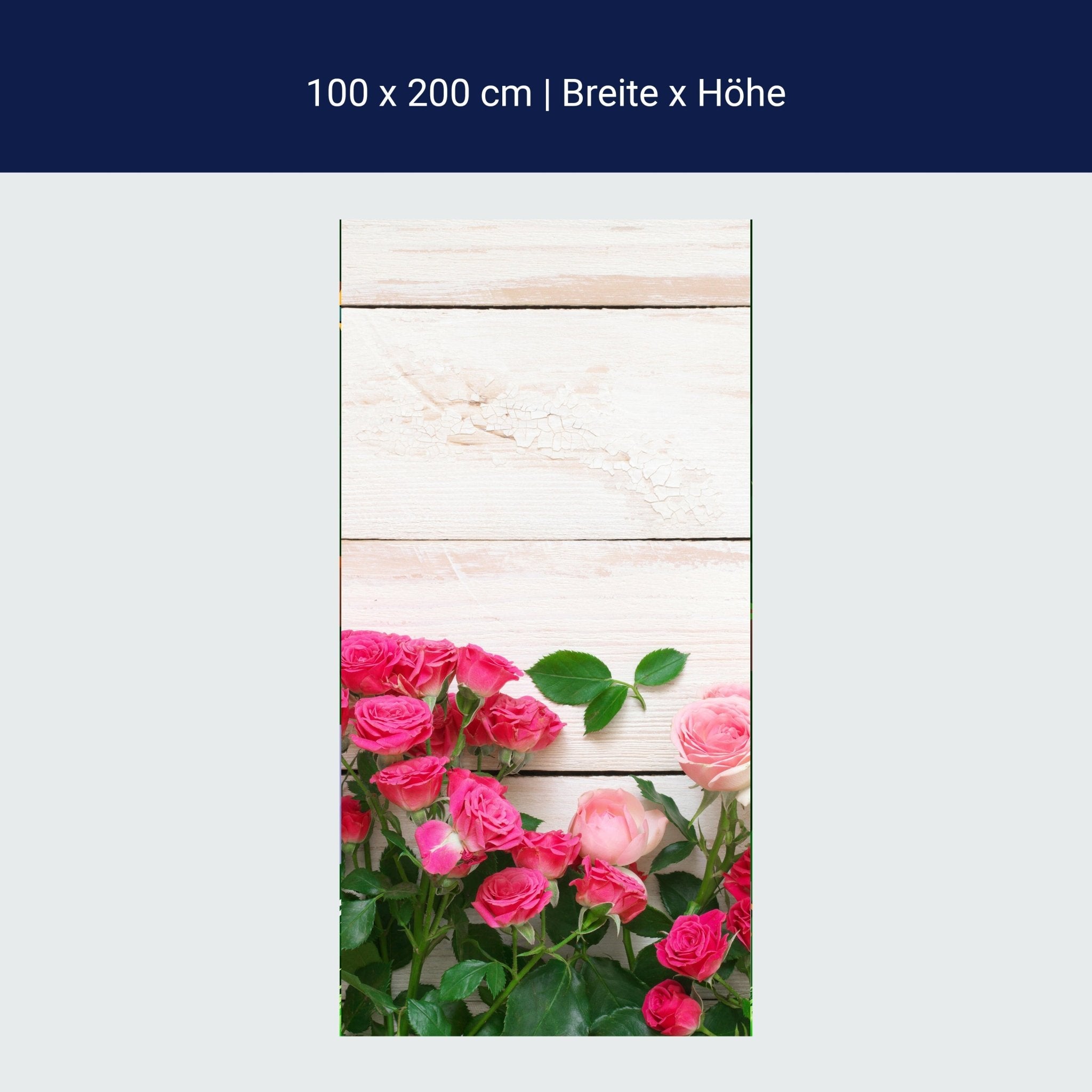 Türtapete Rosa und karminrote Rosen M1034 Türtapete Rosa und karminrote Rosen M1034