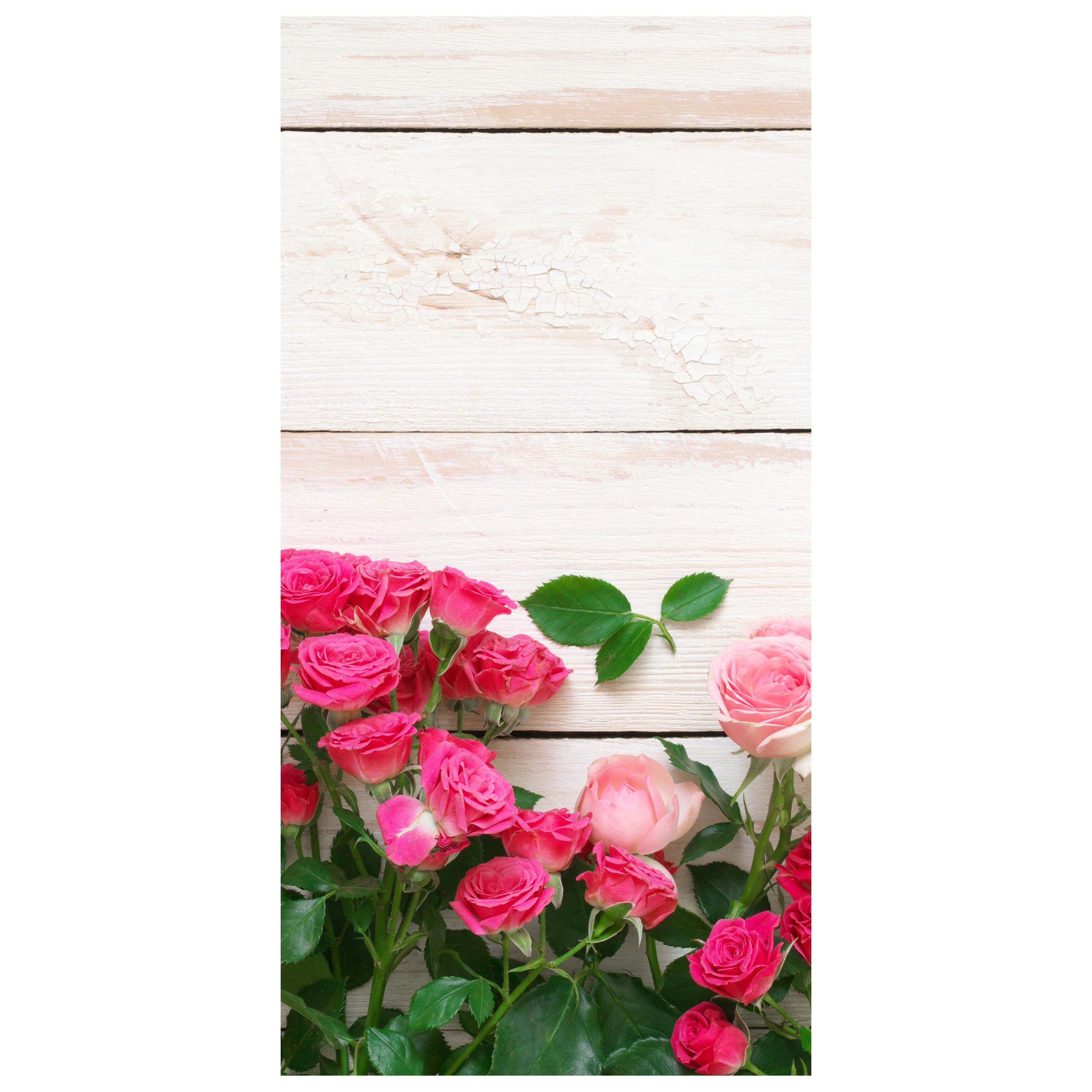 Türtapete Rosa und karminrote Rosen M1034 - Bild 2 Türtapete Rosa und karminrote Rosen M1034 - Bild 2