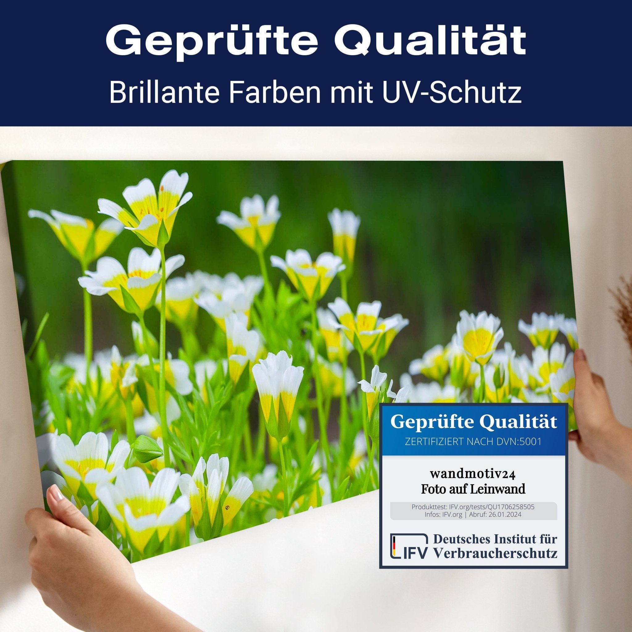 Leinwandbild Blumen, die im Sommergarten wachsen M1039 kaufen - Bild 4 Leinwandbild Blumen, die im Sommergarten wachsen M1039 kaufen - Bild 4