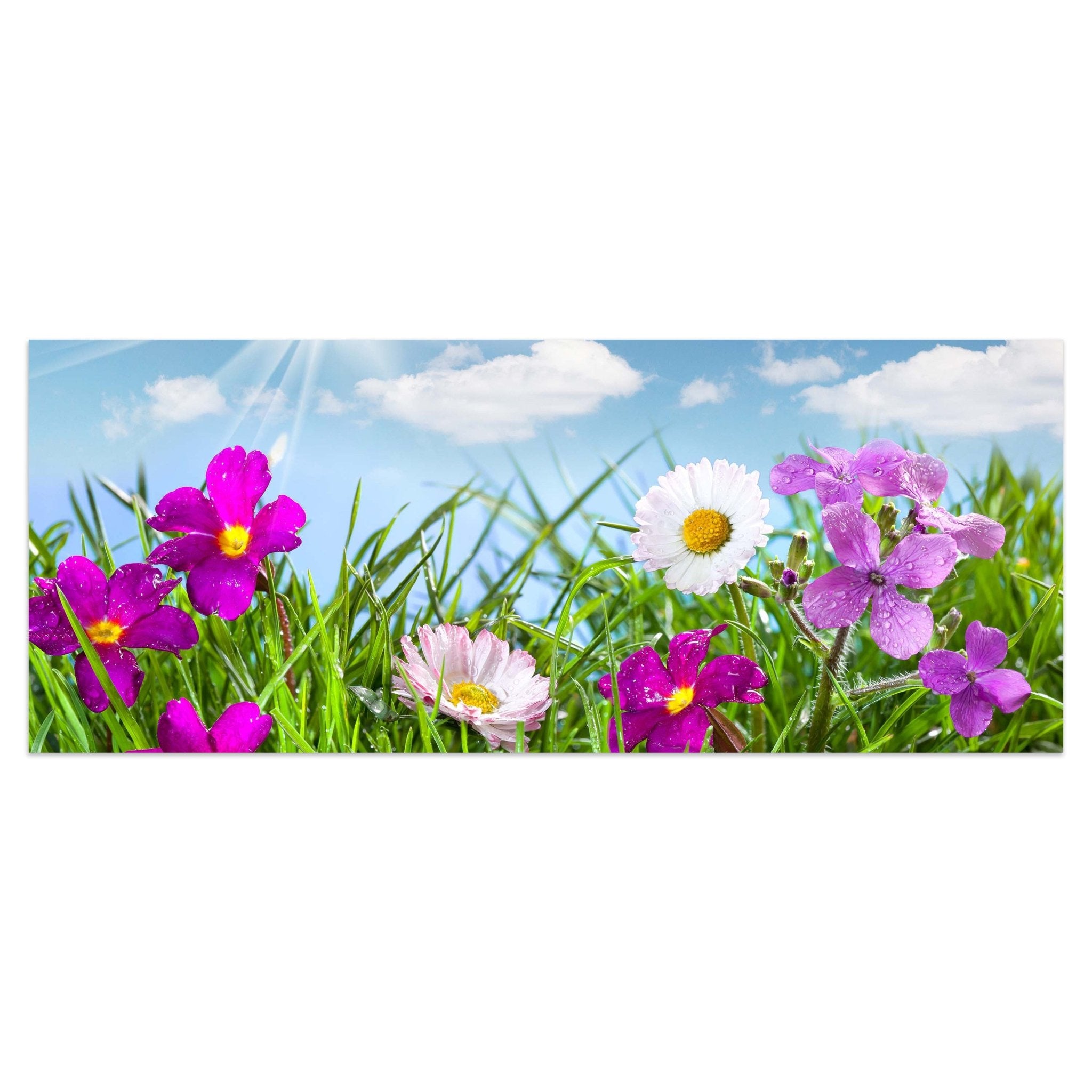 Leinwandbild Blühende Wiese unter blauem Himmel M1044 kaufen - Bild 1 Leinwandbild Blühende Wiese unter blauem Himmel M1044 kaufen - Bild 1