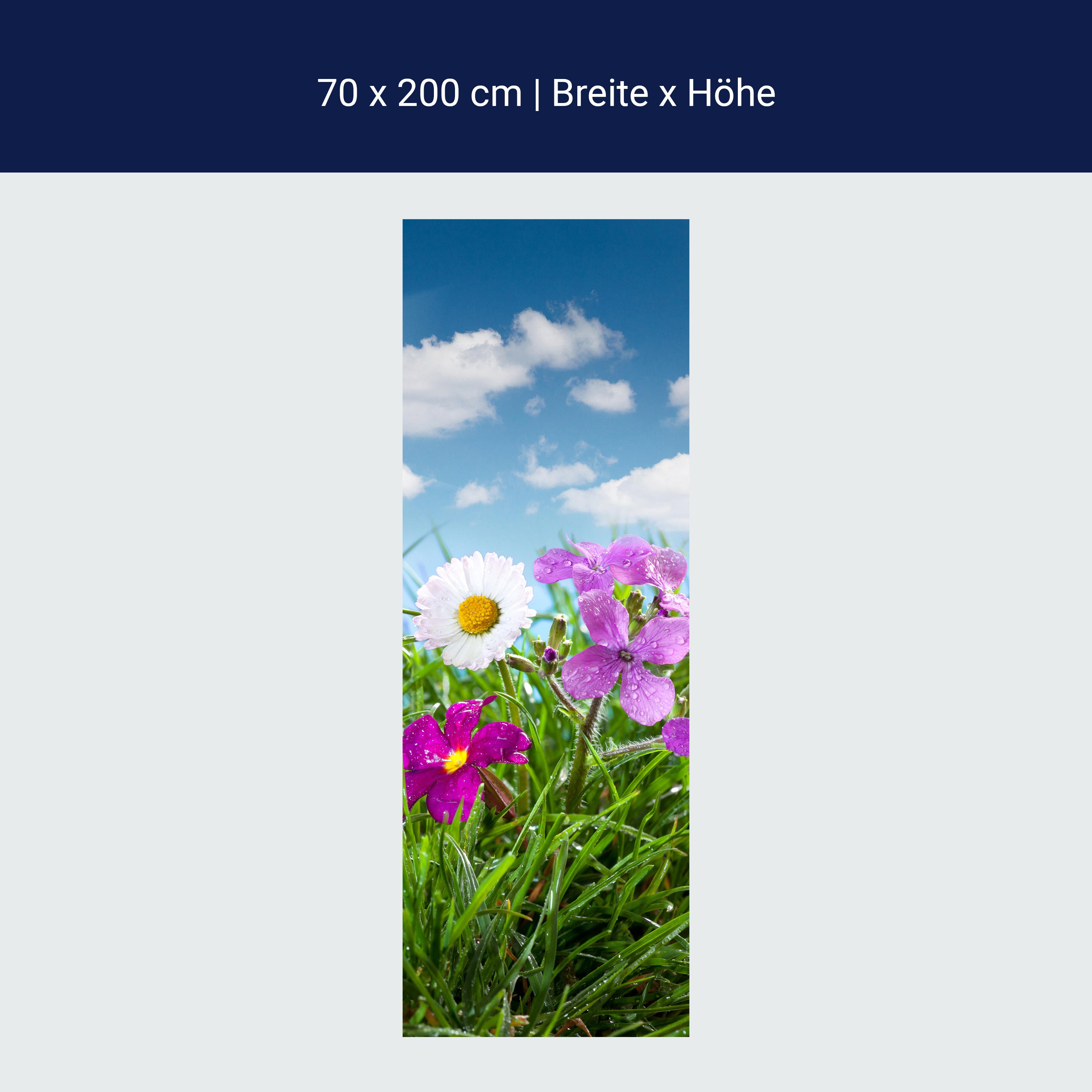 Türtapete Blühende Wiese unter blauem Himmel M1044 Türtapete Blühende Wiese unter blauem Himmel M1044