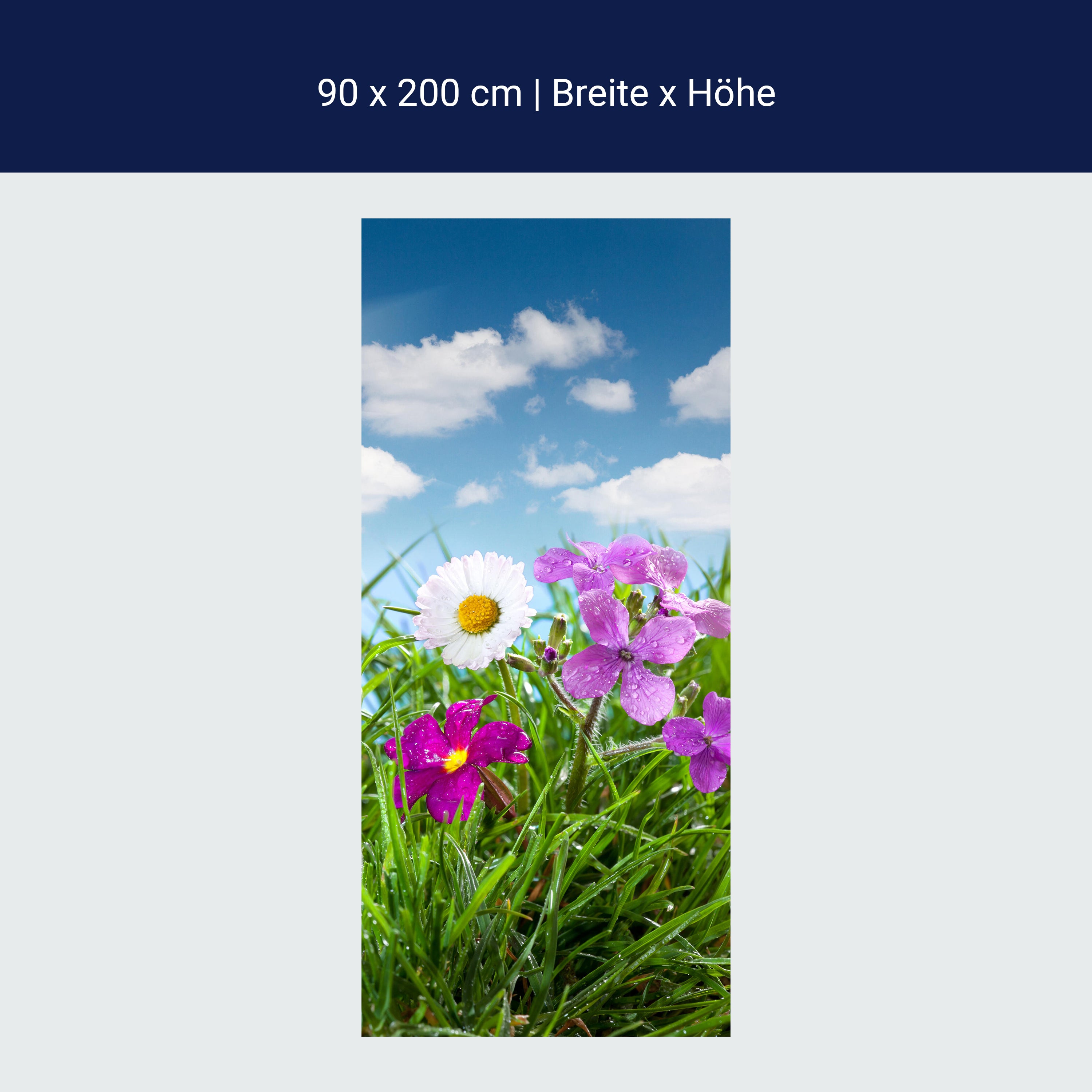 Türtapete Blühende Wiese unter blauem Himmel M1044 Türtapete Blühende Wiese unter blauem Himmel M1044