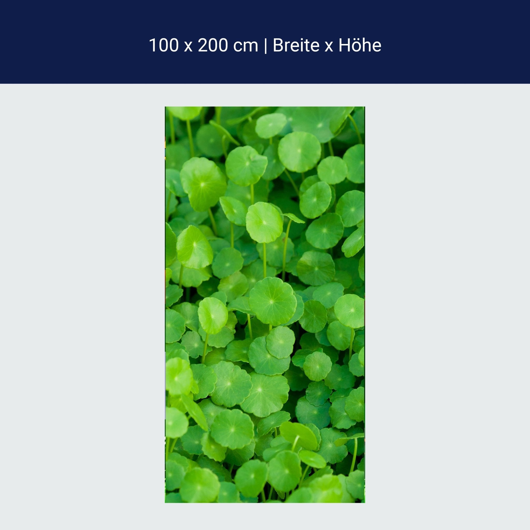 Türtapete Grünpflanzen Hintergrund M1046 Türtapete Grünpflanzen Hintergrund M1046