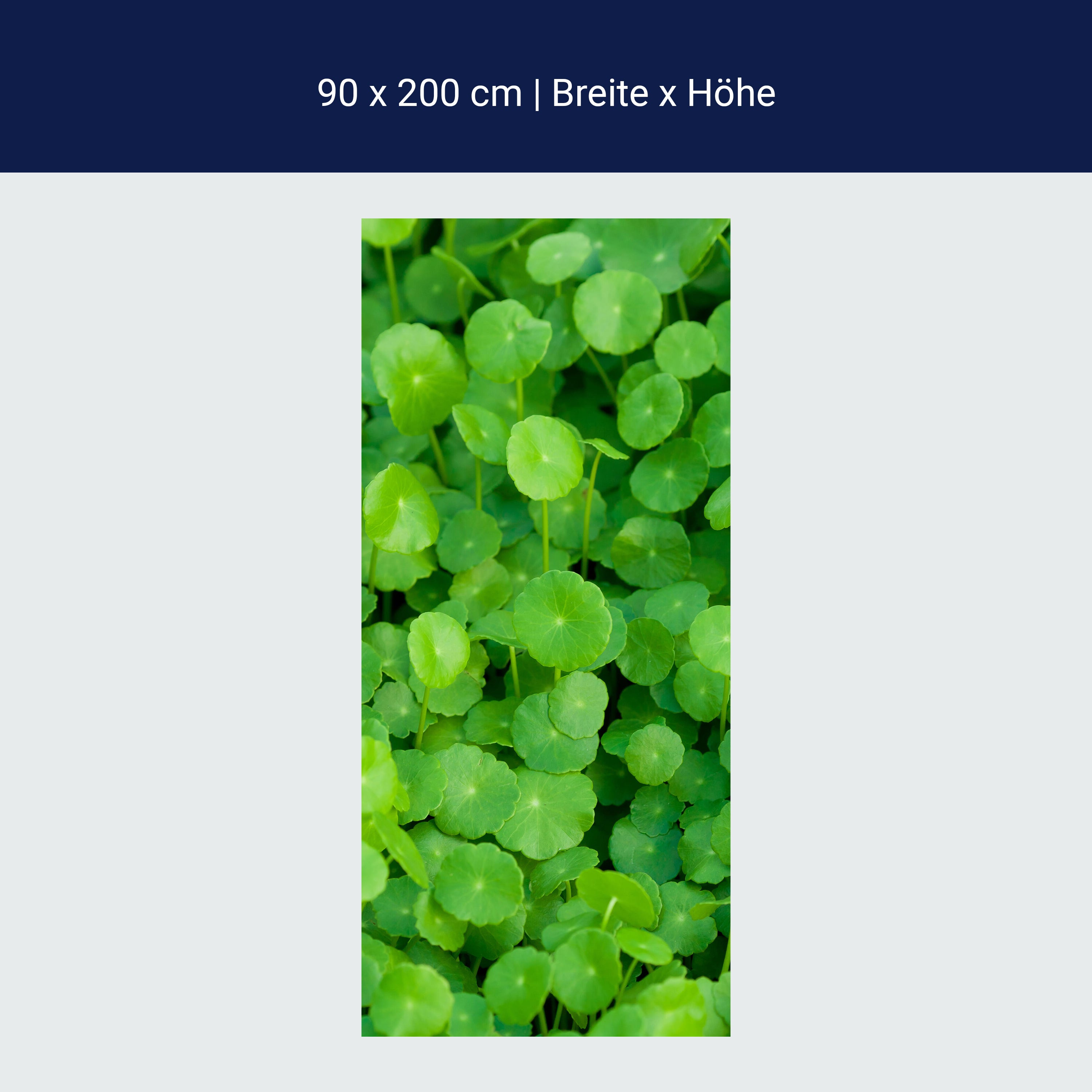 Türtapete Grünpflanzen Hintergrund M1046 Türtapete Grünpflanzen Hintergrund M1046