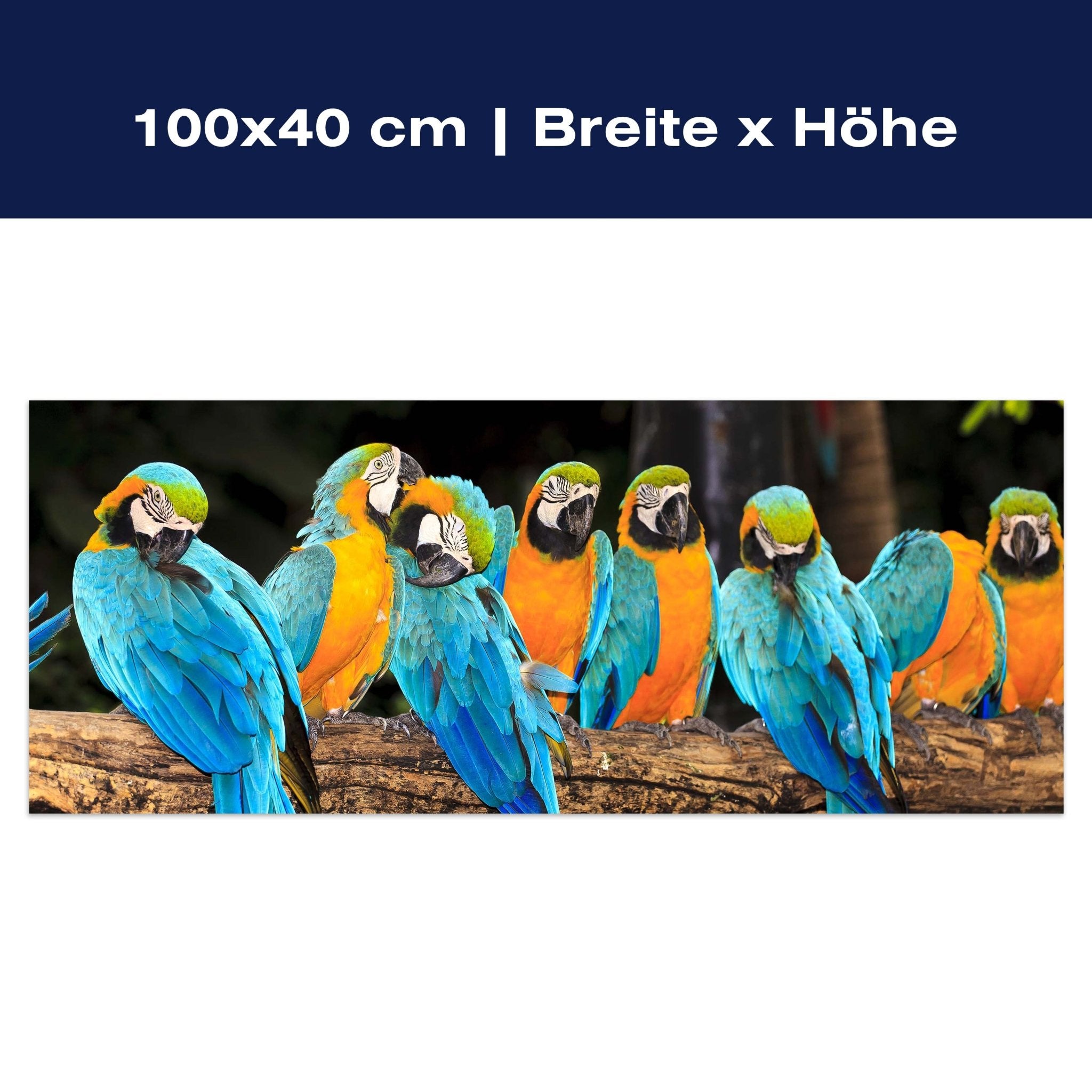 Leinwandbild Aras M1047 Leinwandbild Aras M1047