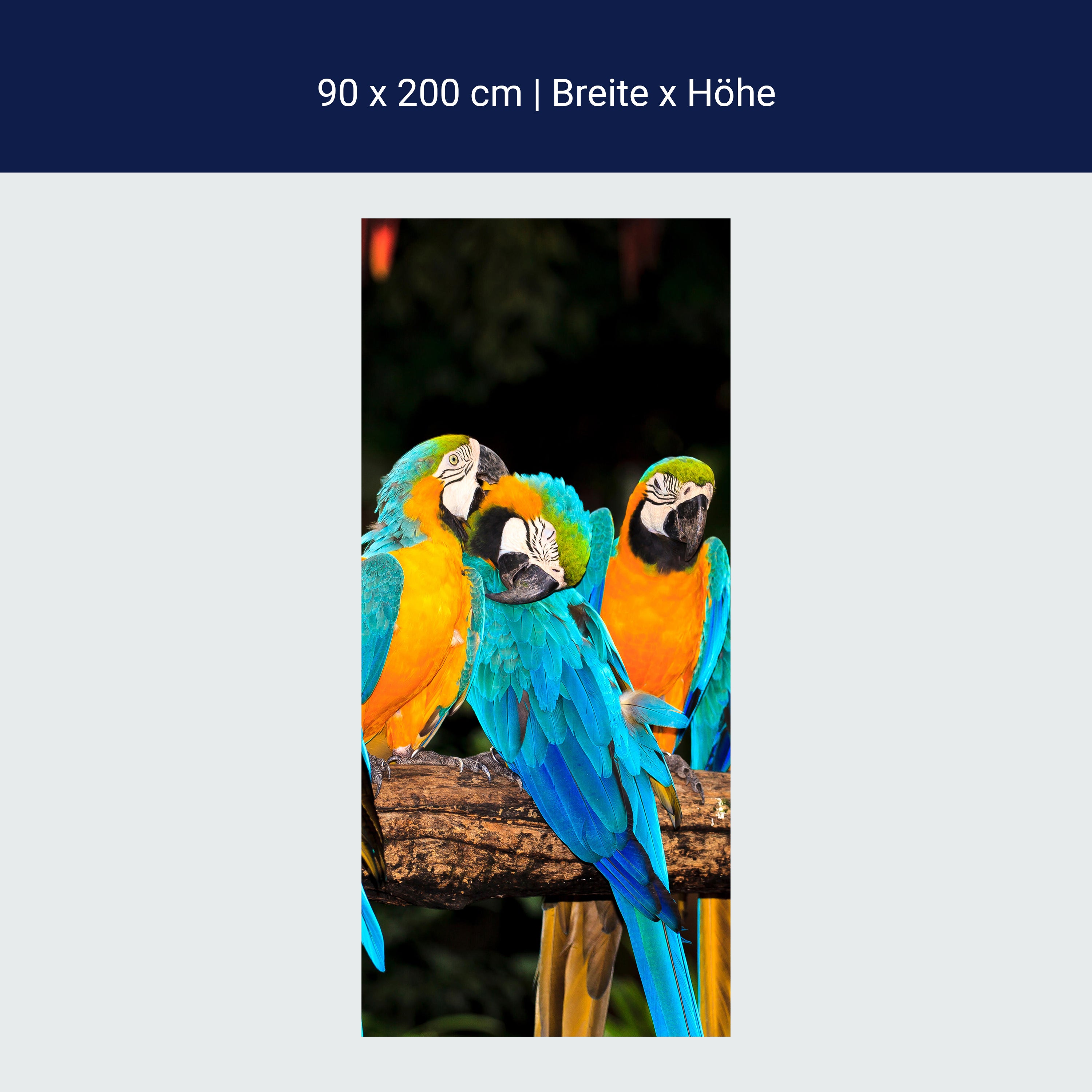 Türtapete Aras M1047 Türtapete Aras M1047